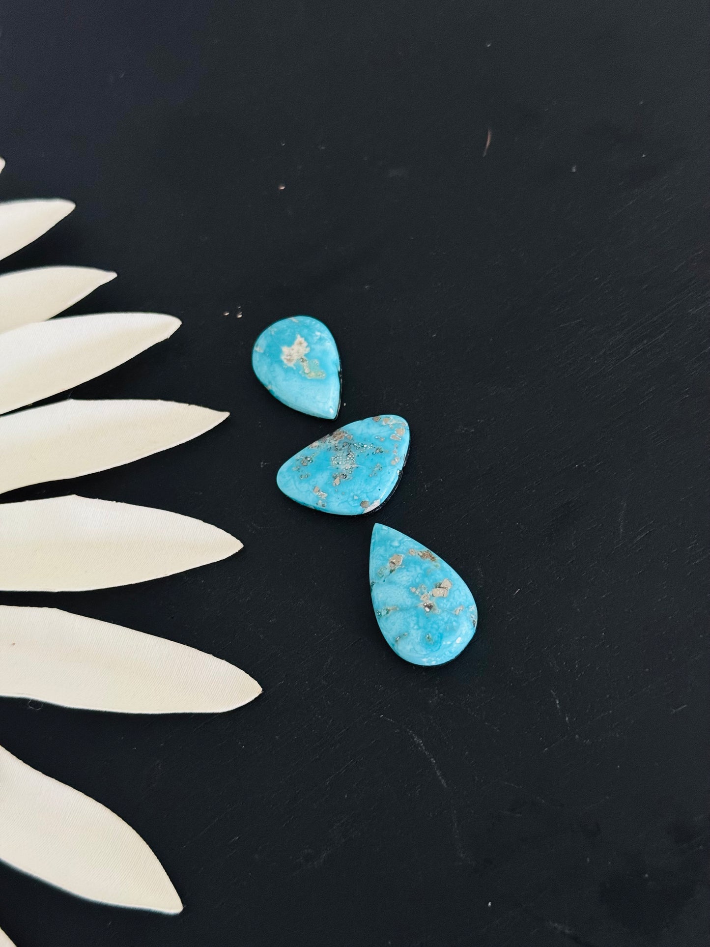 Blue Bird Turquoise Cabs