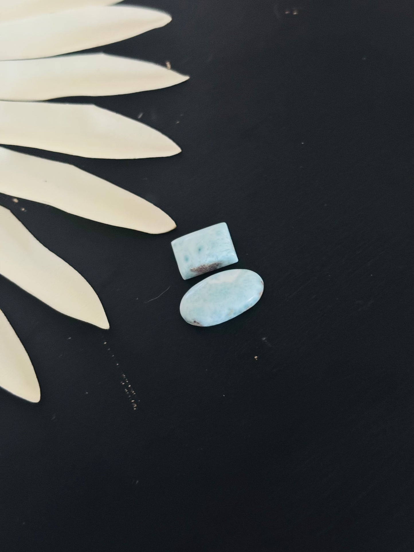 Larimar Cabs