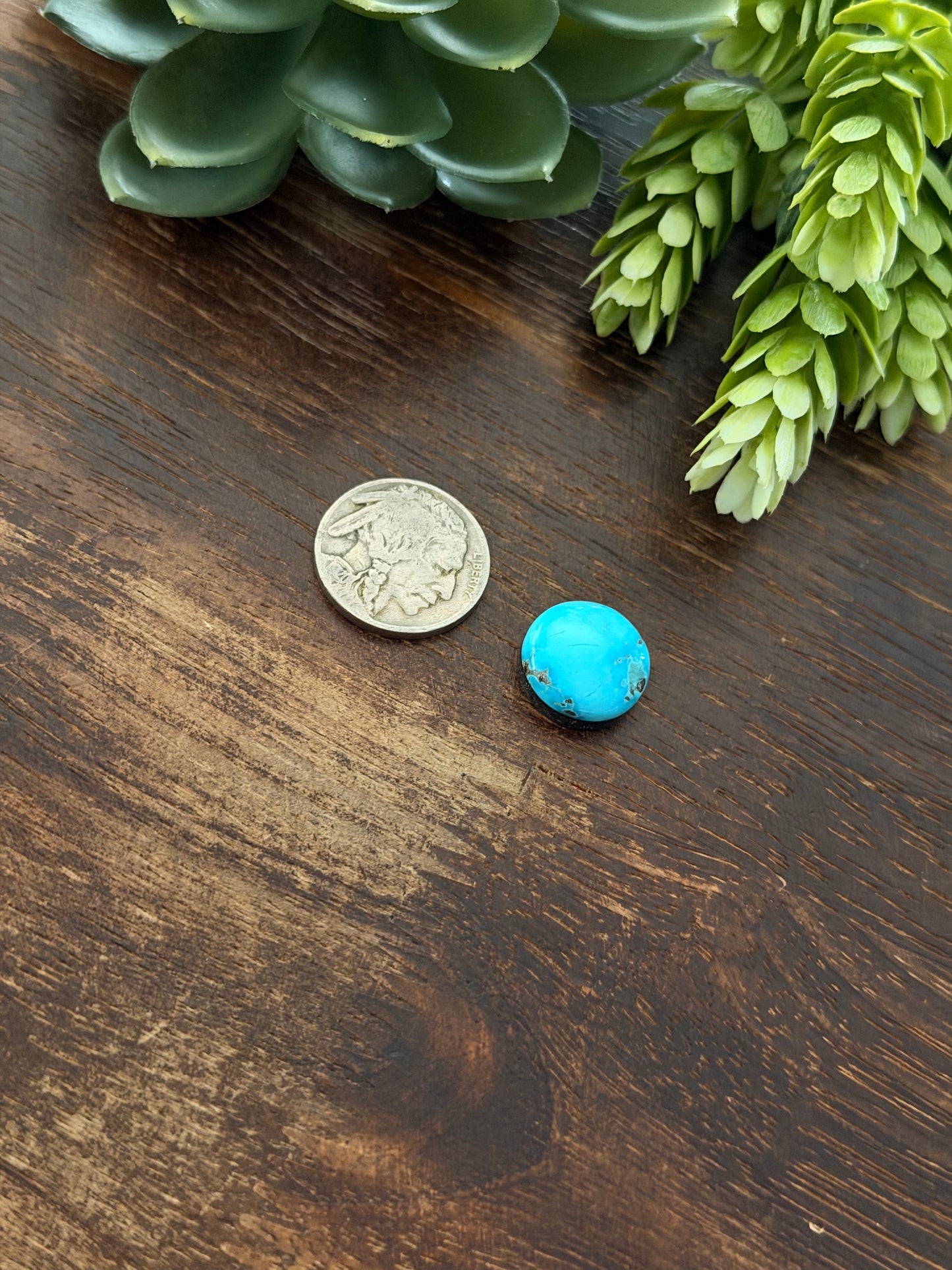 Blue Bird Turquoise Cab