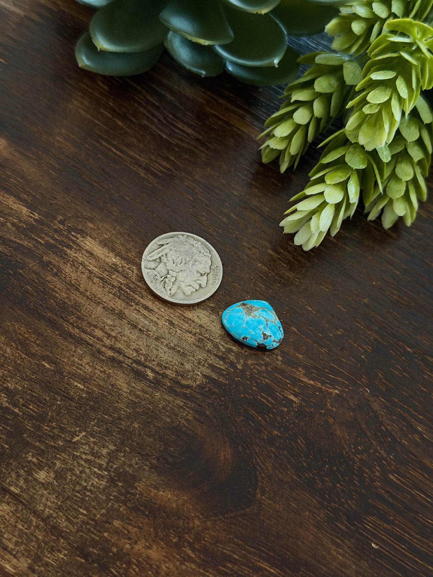 Blue Bird Turquoise Cab