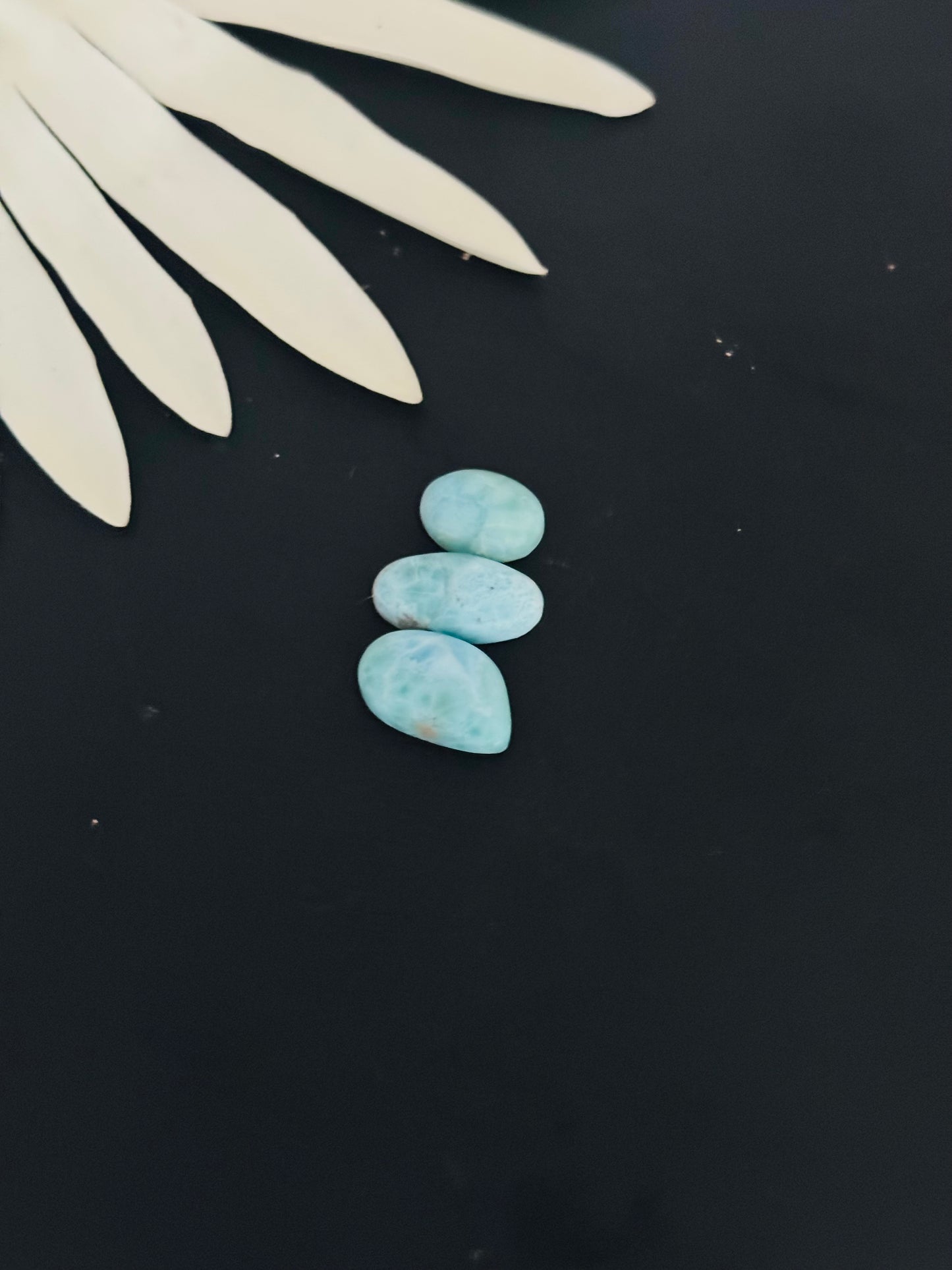 Larimar Cabs