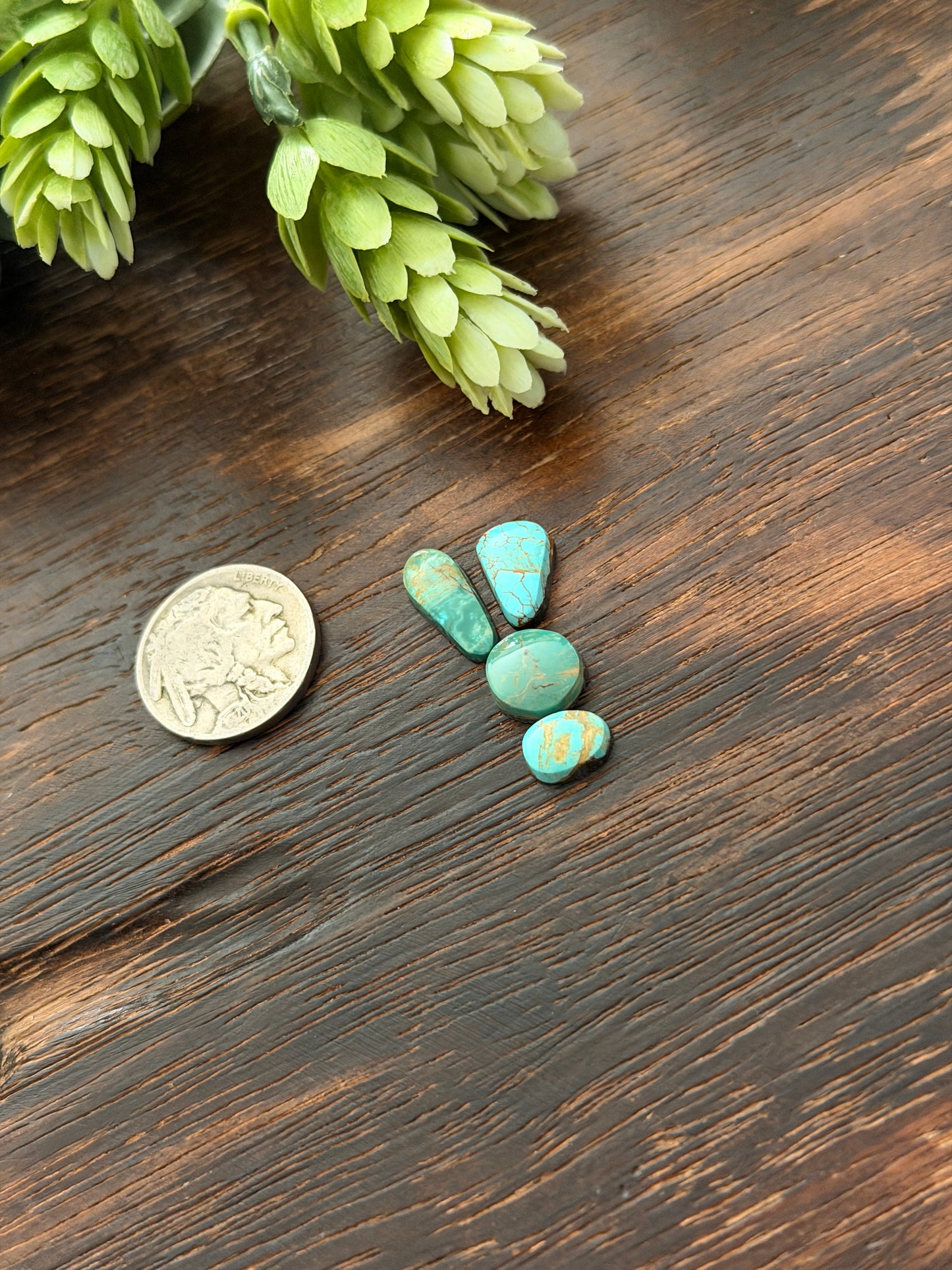 Evans Turquoise Cabs