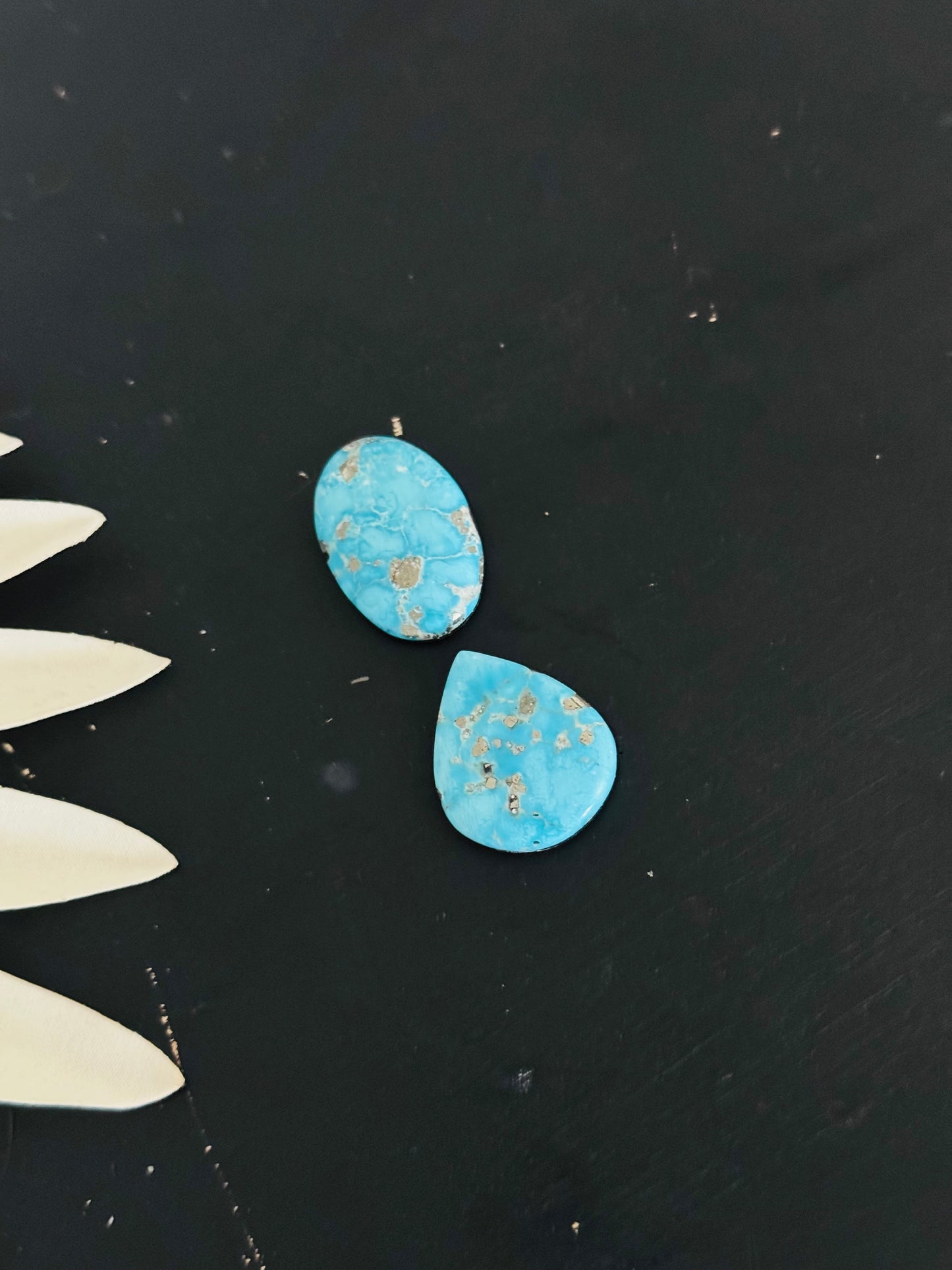Blue Bird Turquoise Cabs