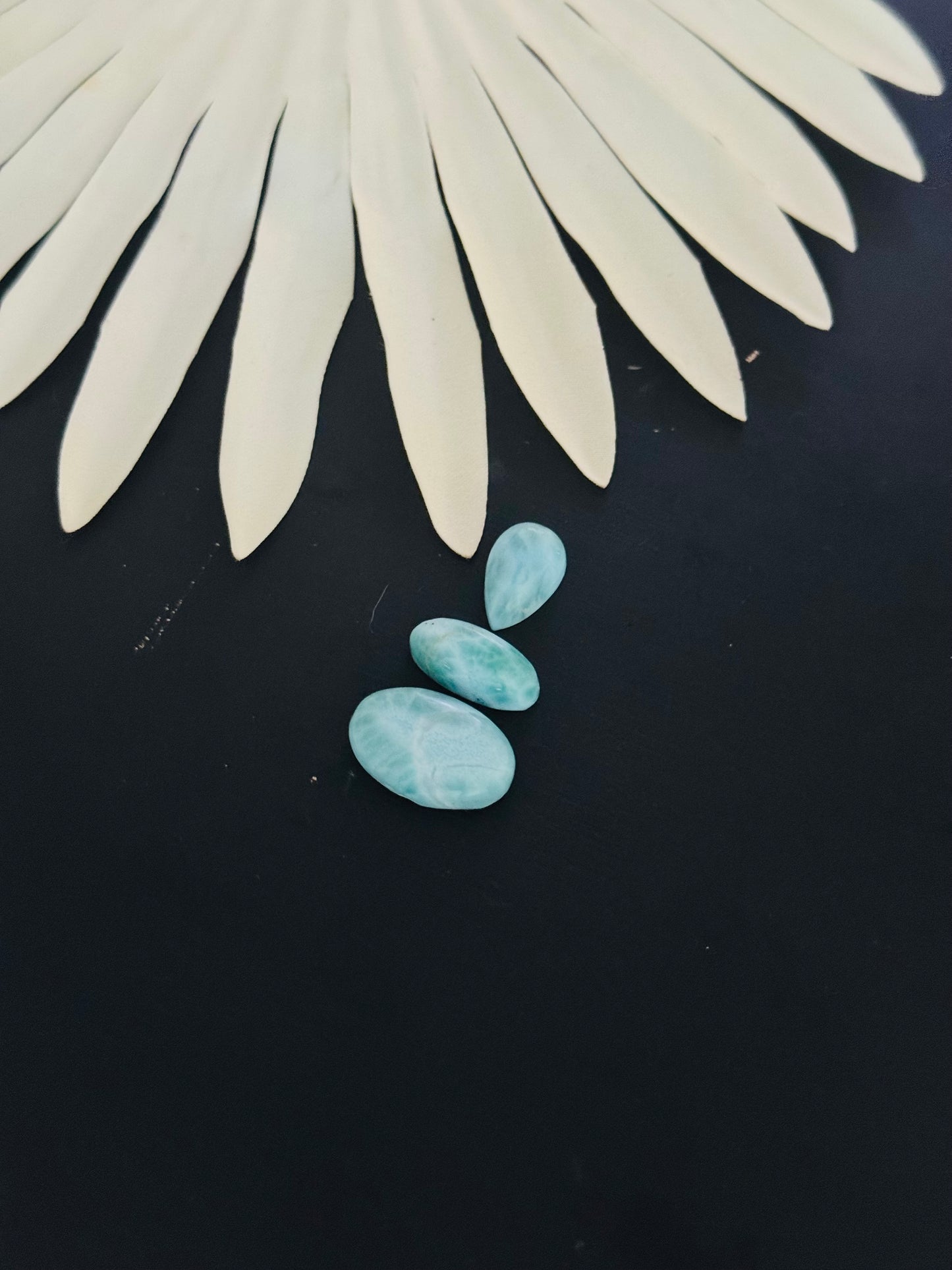 Larimar Cabs
