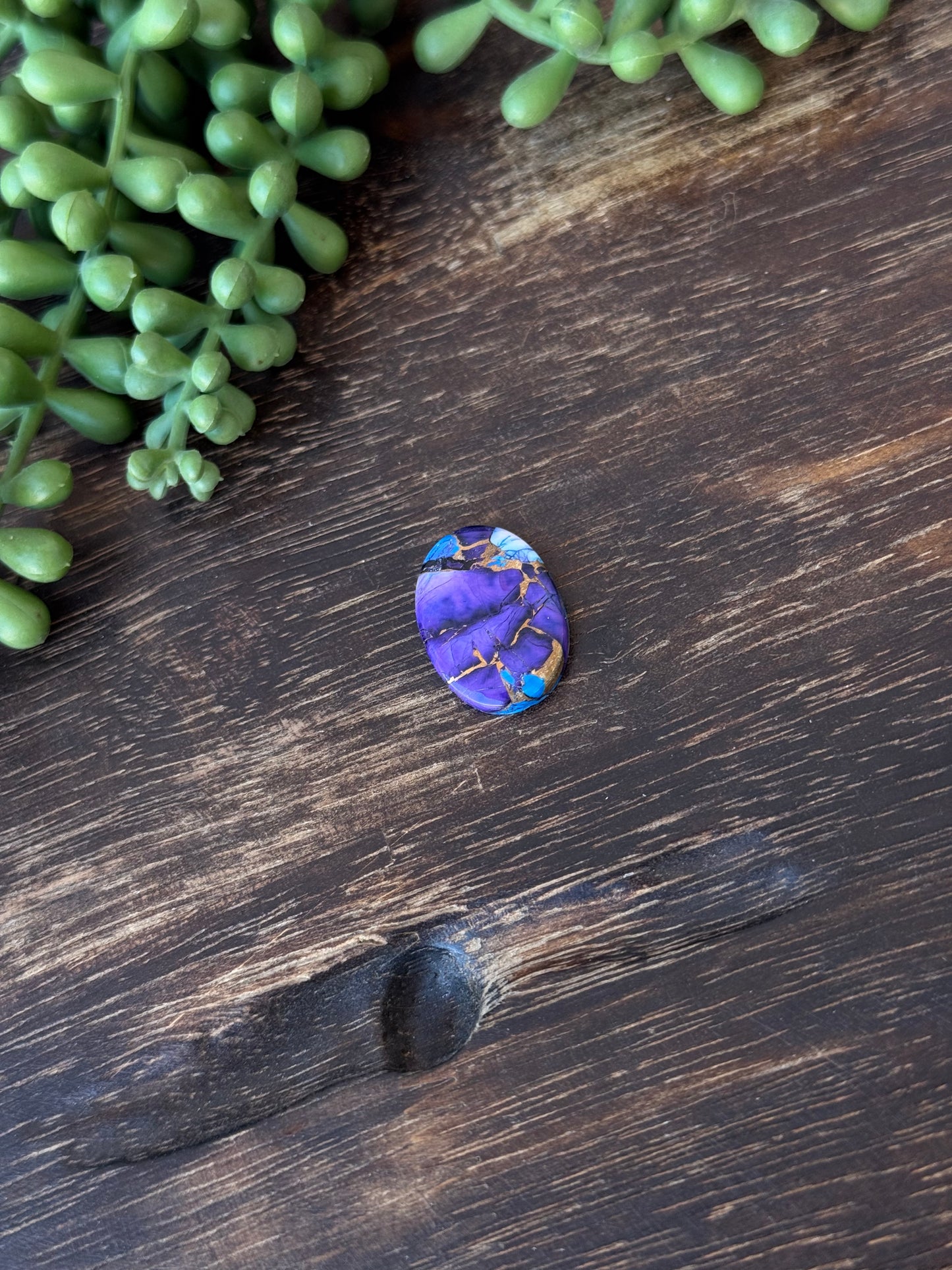 Purple Dahlia Composite Cabs