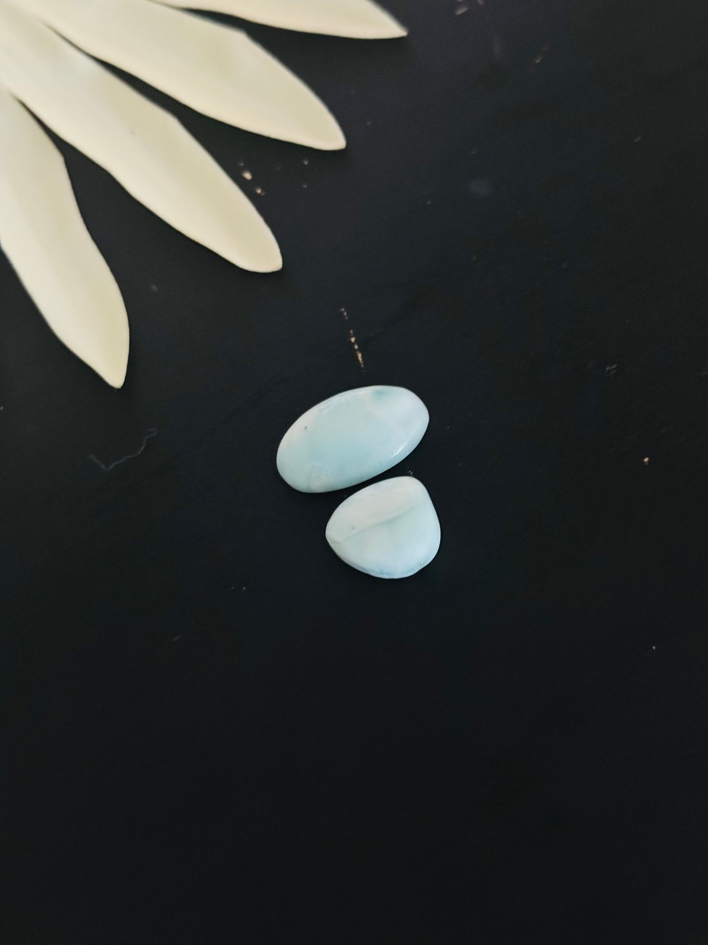 Larimar Cabs