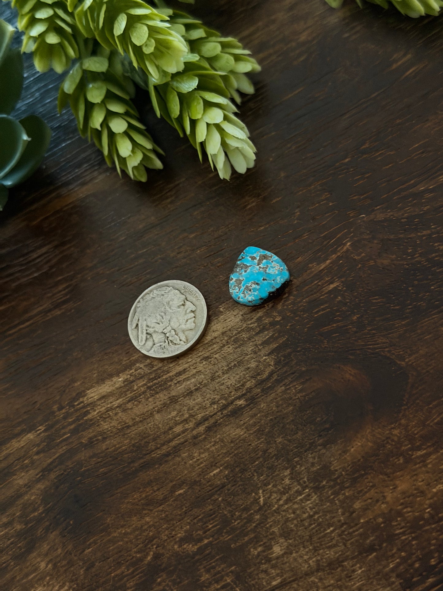 Blue Bird Turquoise Cab
