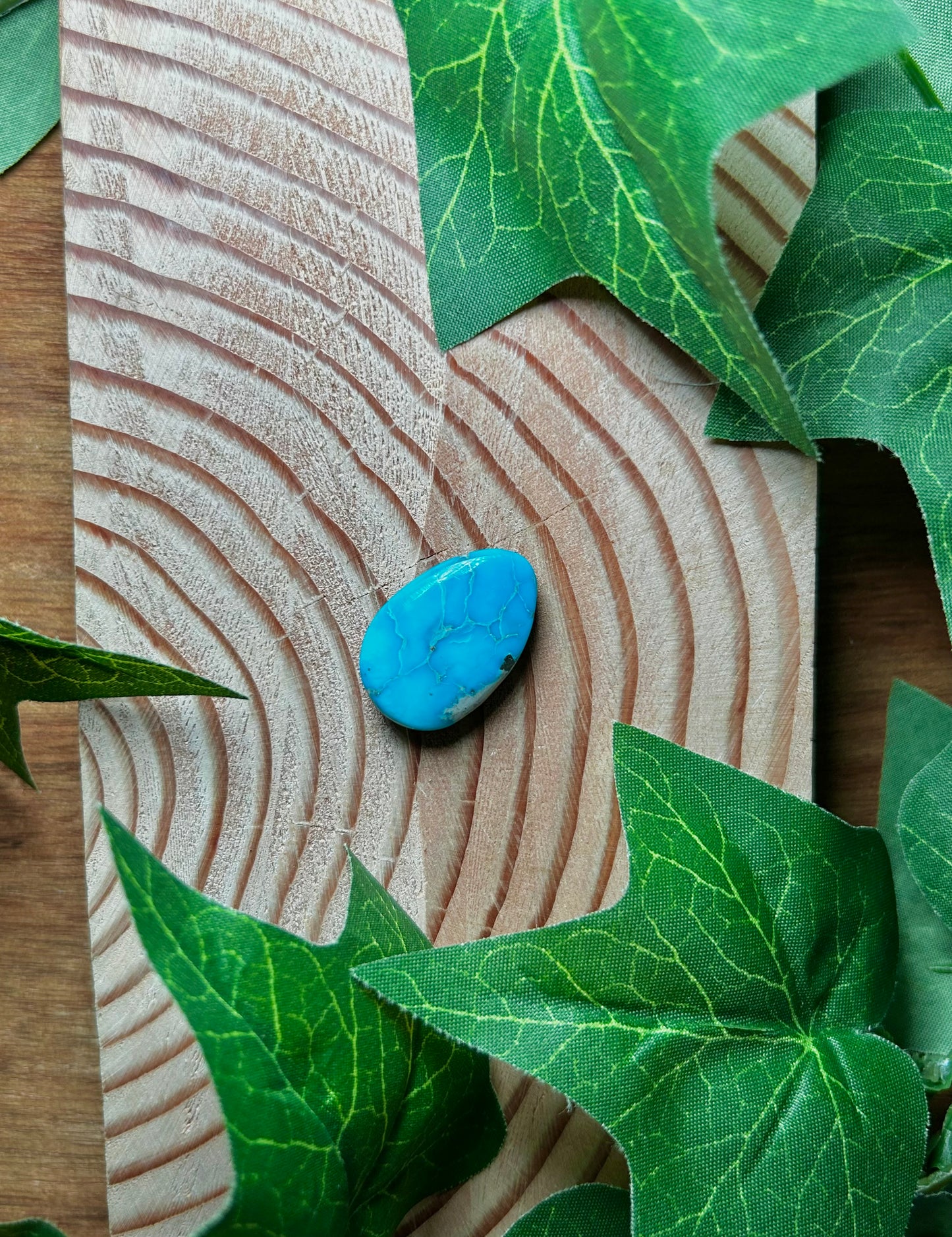 Blue Bird Turquoise Cabs