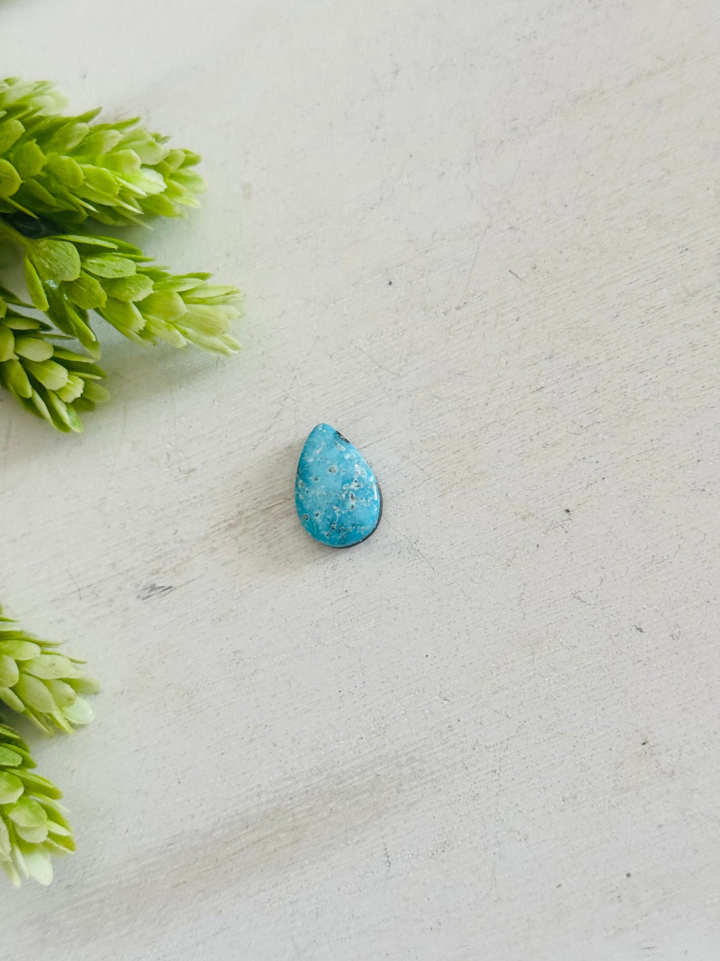 Blue Bird Turquoise Cab