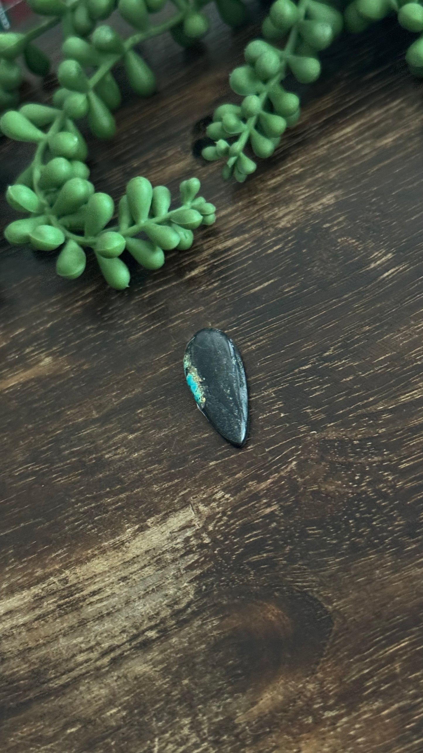 Black Jack Turquoise Cab