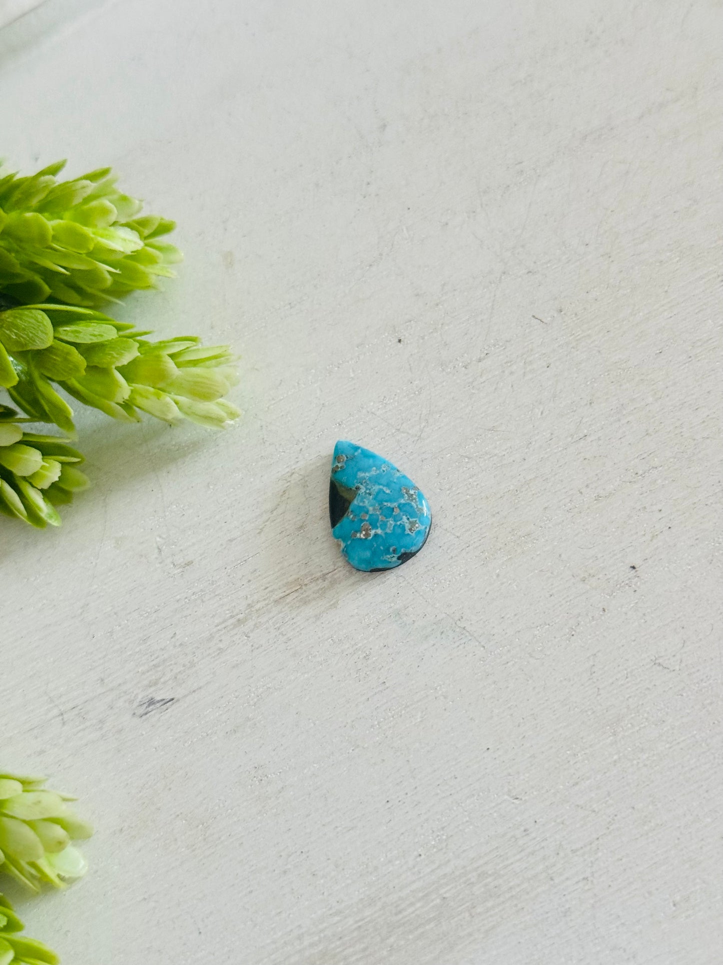 Blue Bird Turquoise Cab