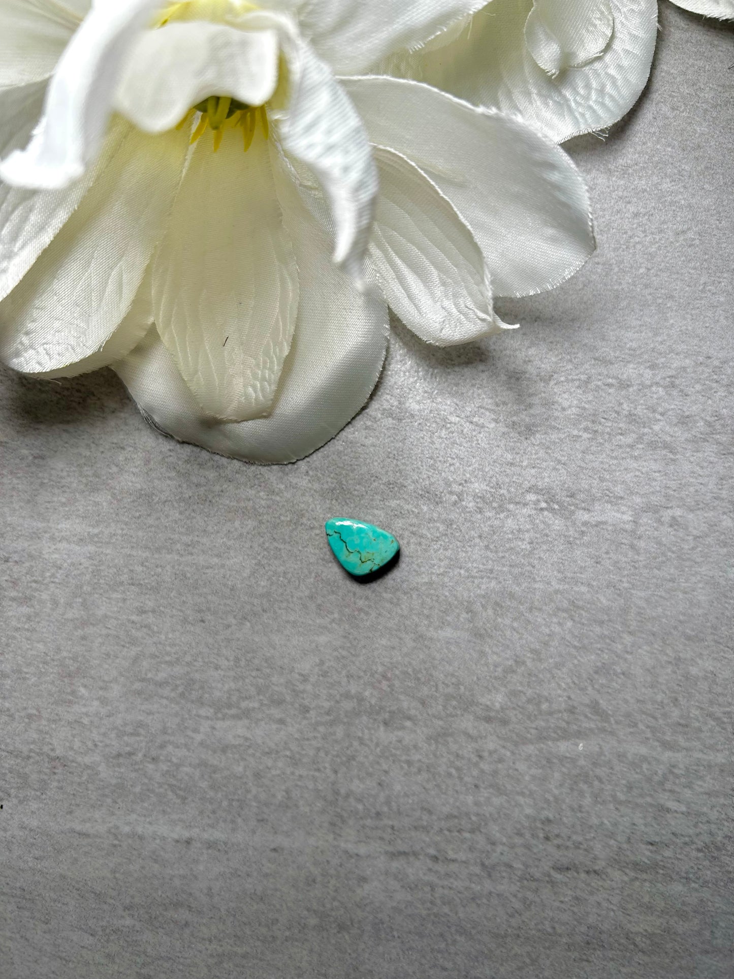 Kingman Turquoise Cab
