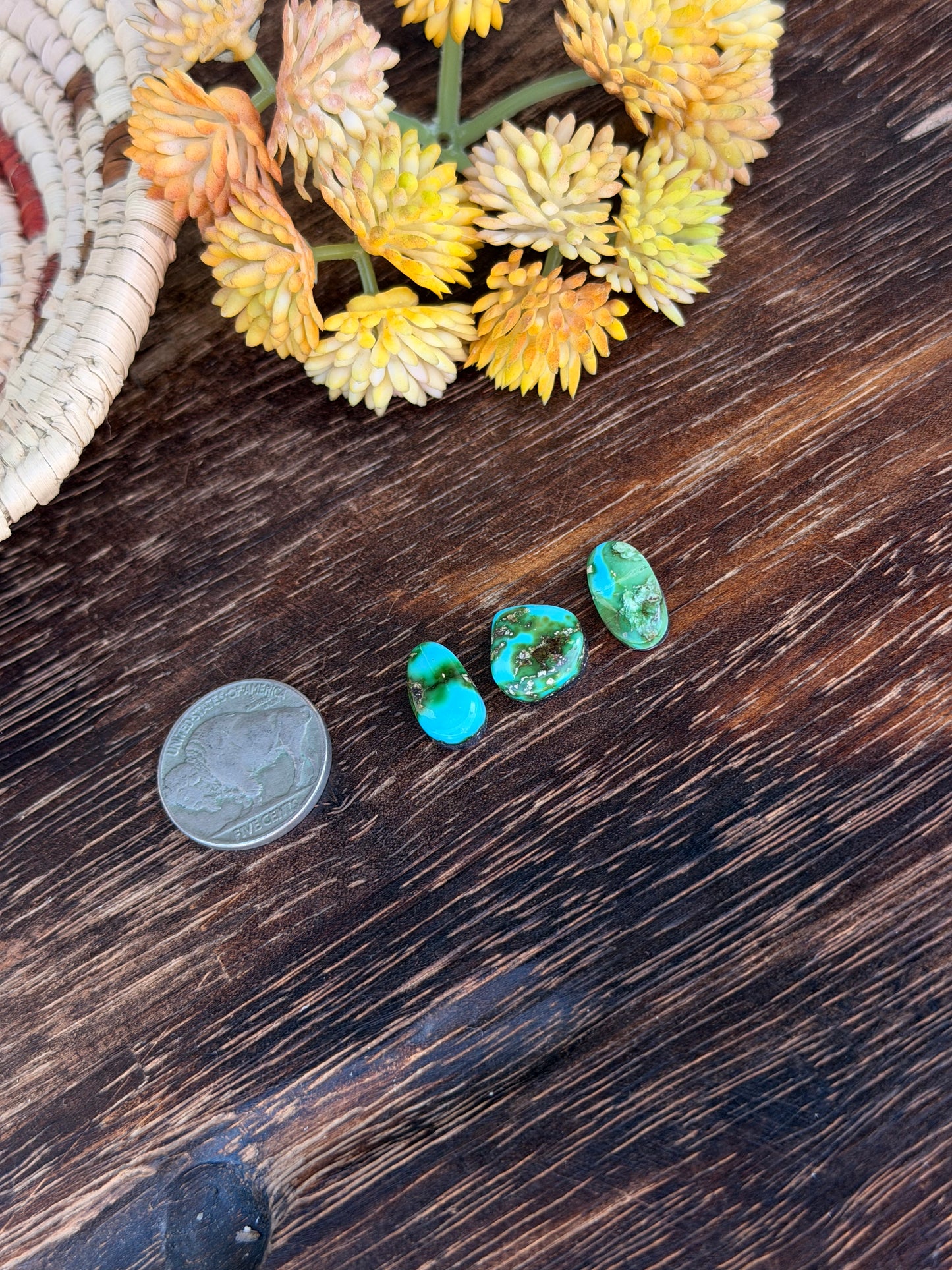 Sonoran Mountain Turquoise Cabs