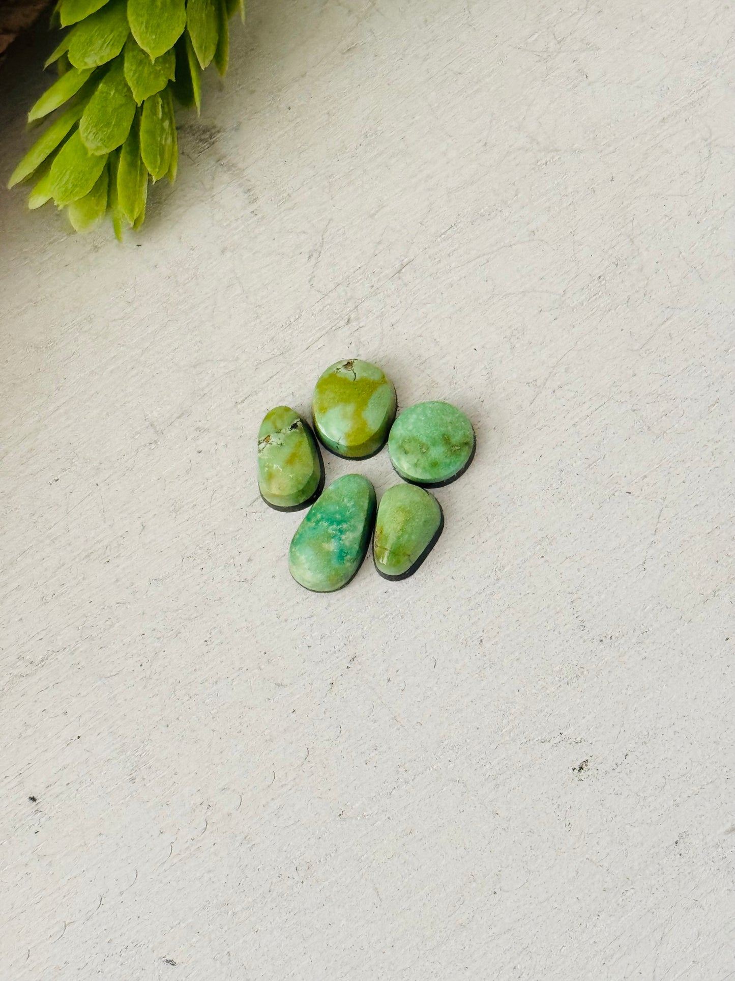 Natural Sonoran Gold Turquoise Cabs