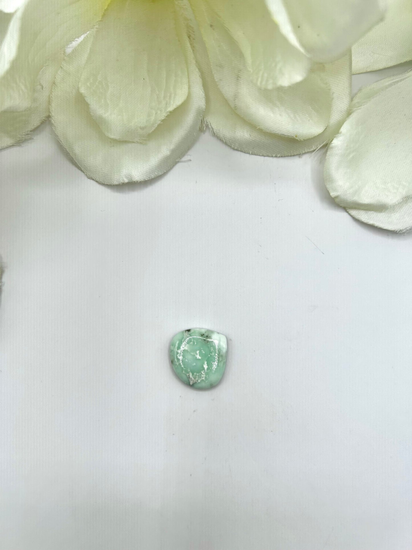 Paloma Variscite Cabs