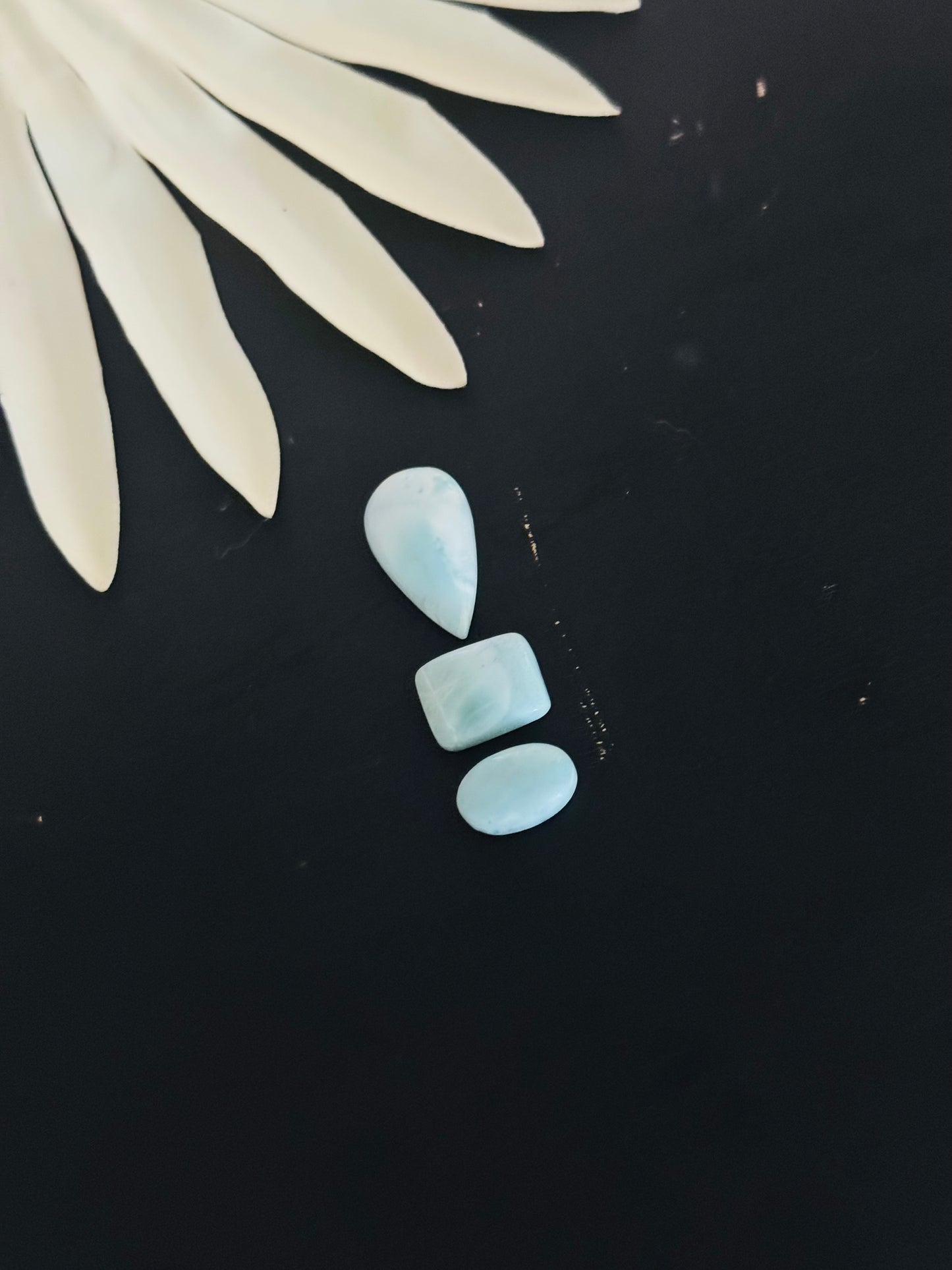Larimar Cabs