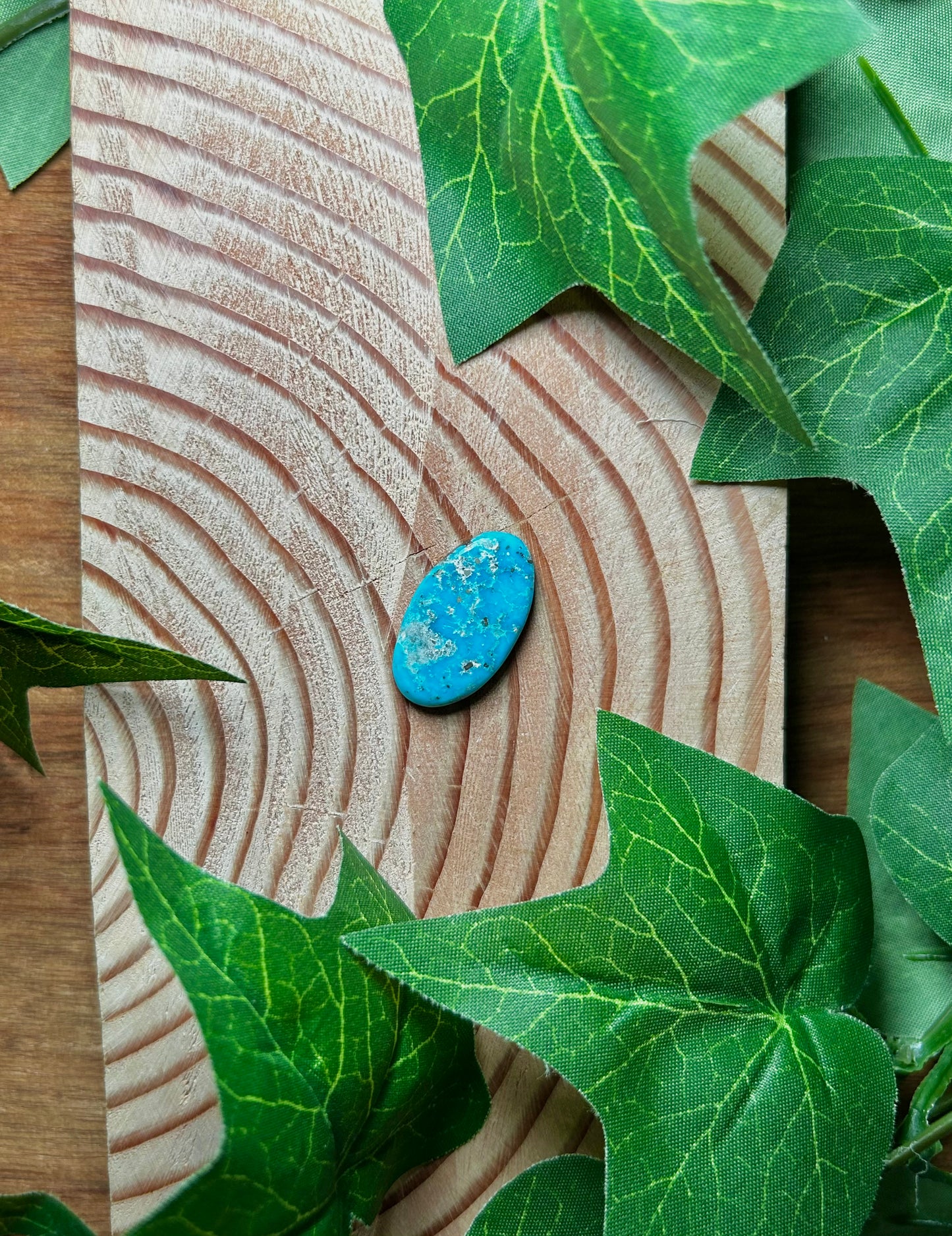 Blue Bird Turquoise Cabs