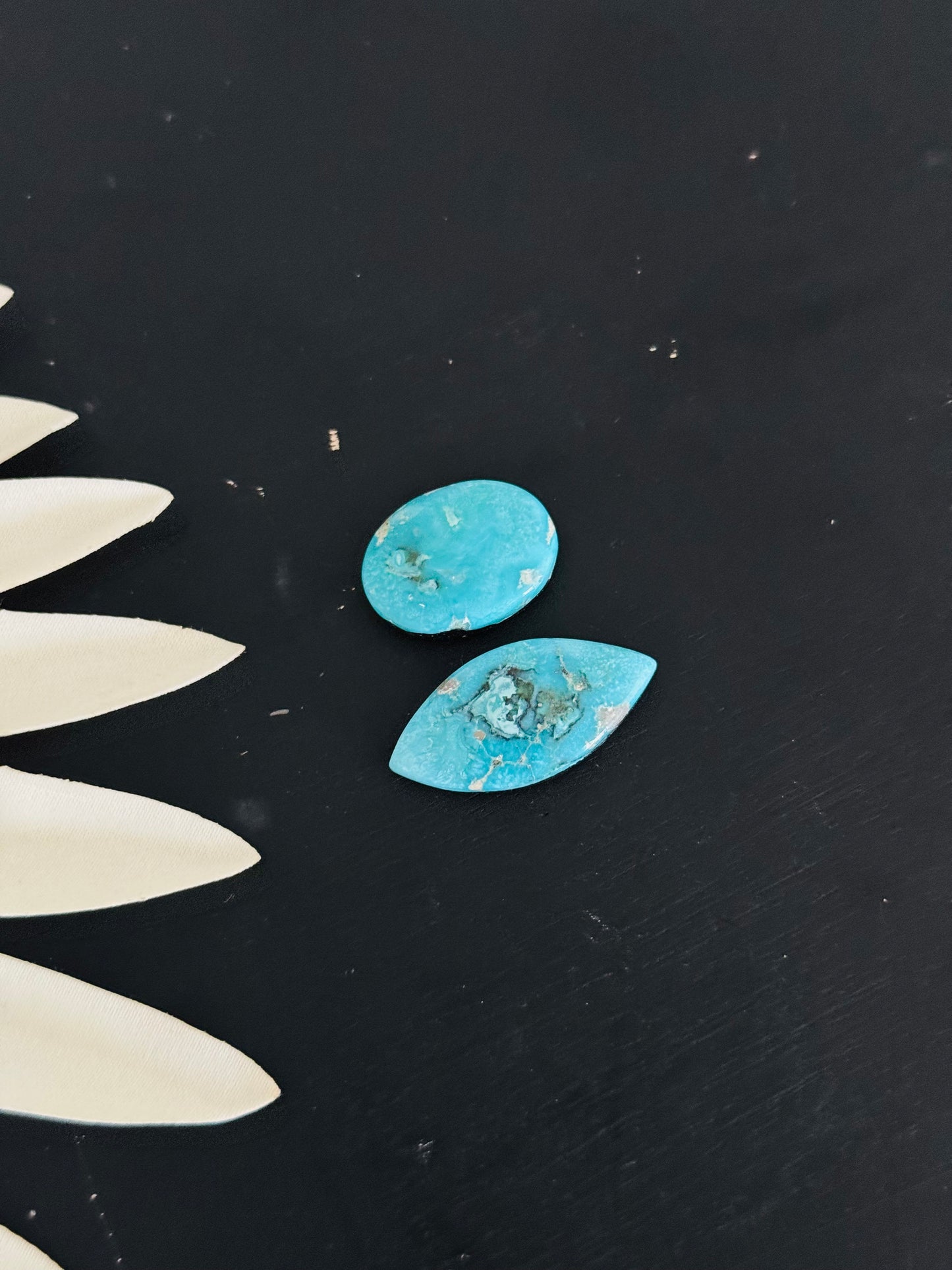 Blue Bird Turquoise Cabs