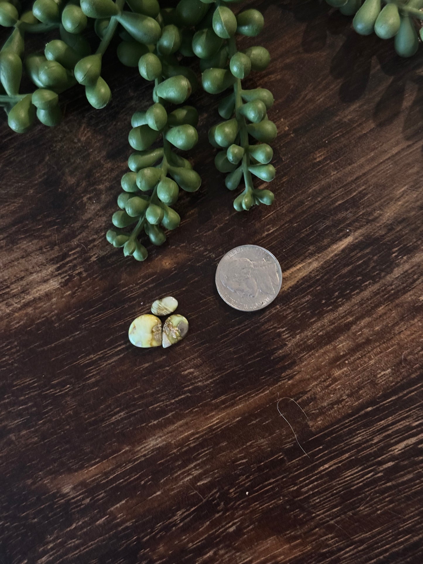 Palomino Variscite Cabs