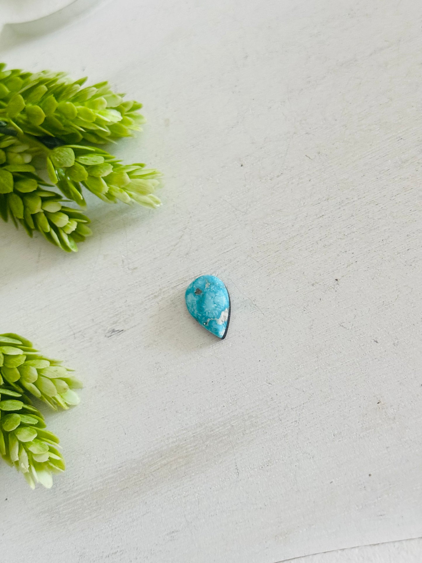 Blue Bird Turquoise Cab