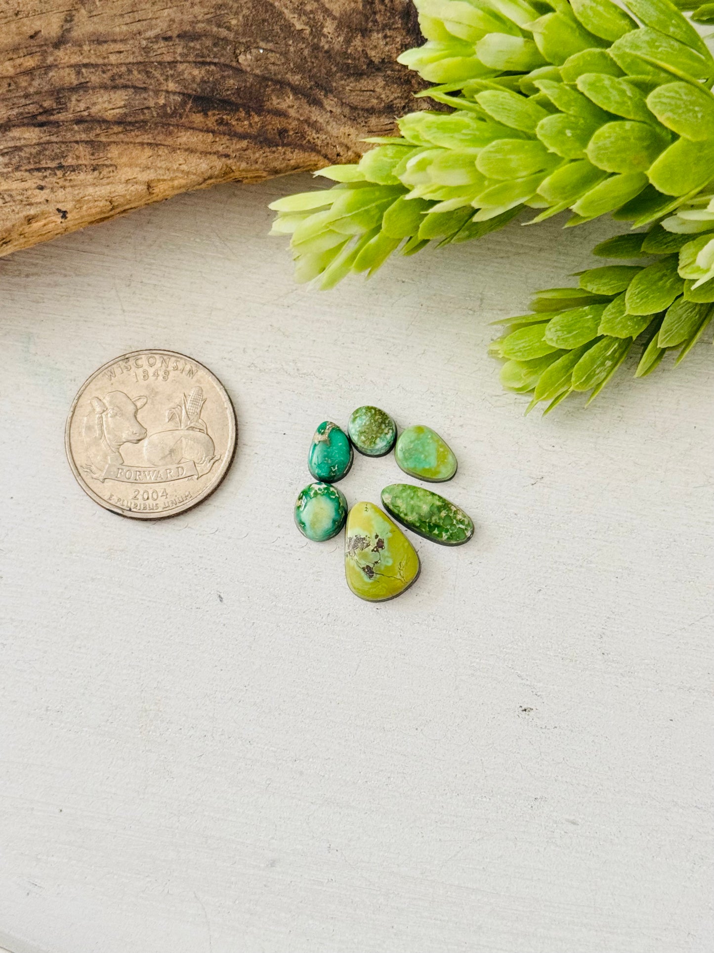 Natural Sonoran Gold Turquoise Cabs