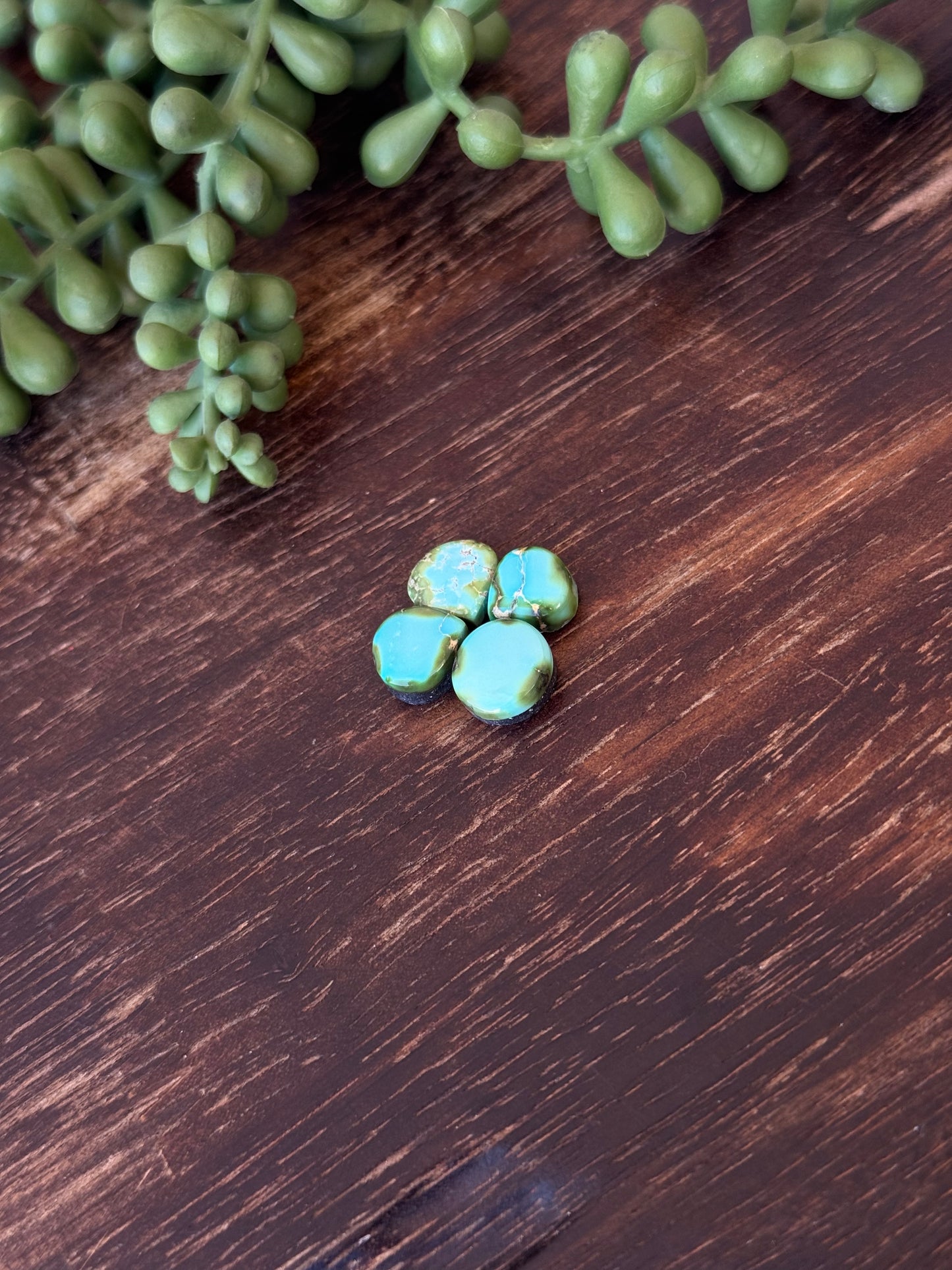 Sonoran Mountain Turquoise Cabs