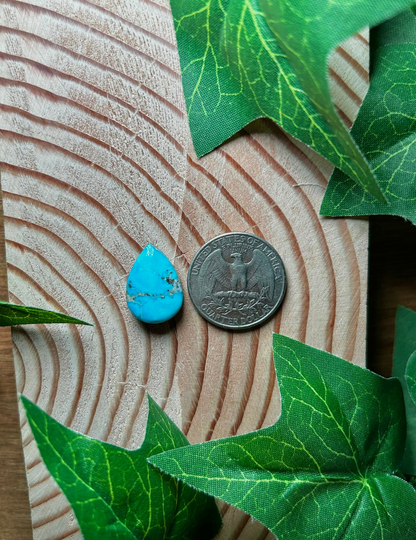Blue Bird Turquoise Cabs