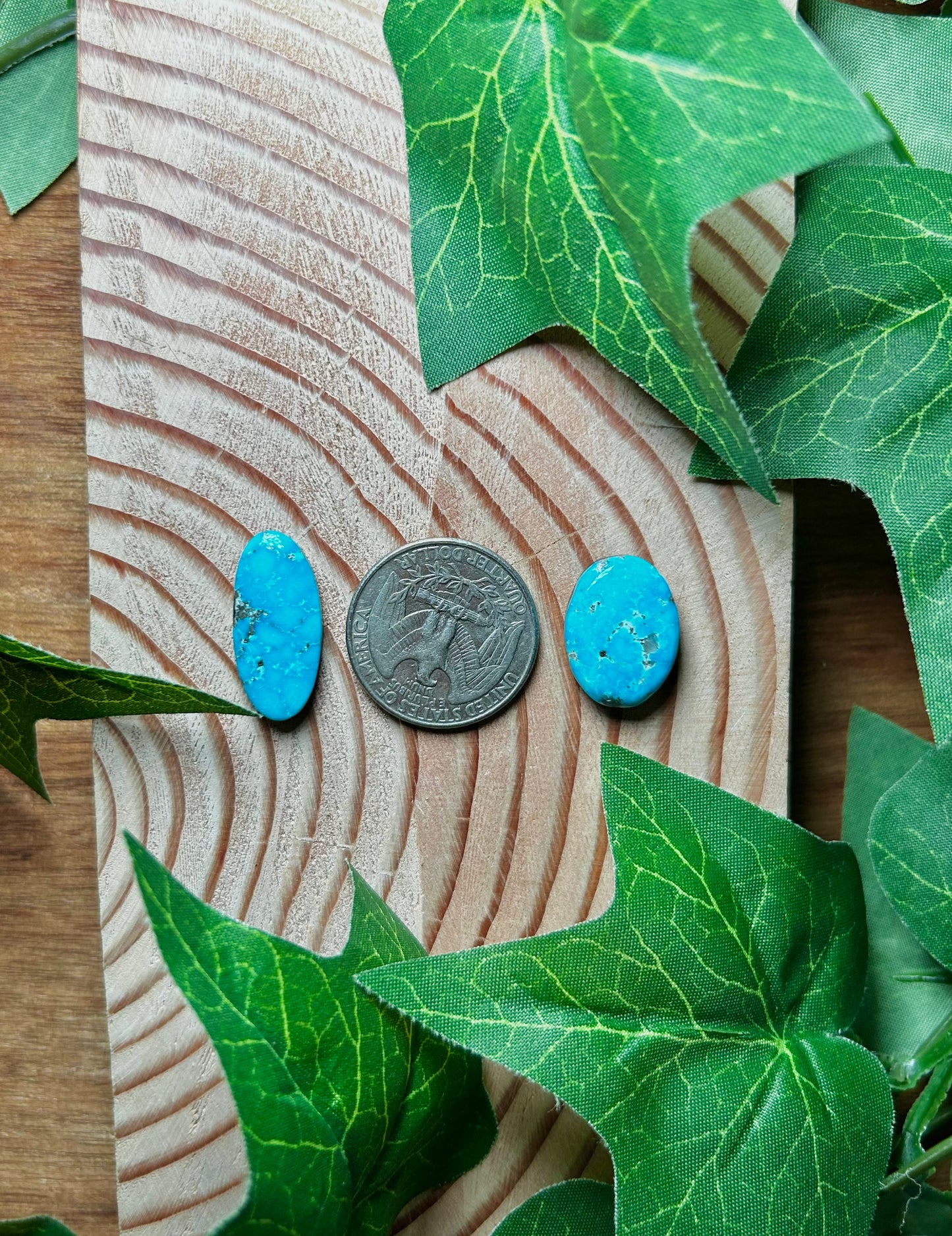 Blue Bird Turquoise Cabs