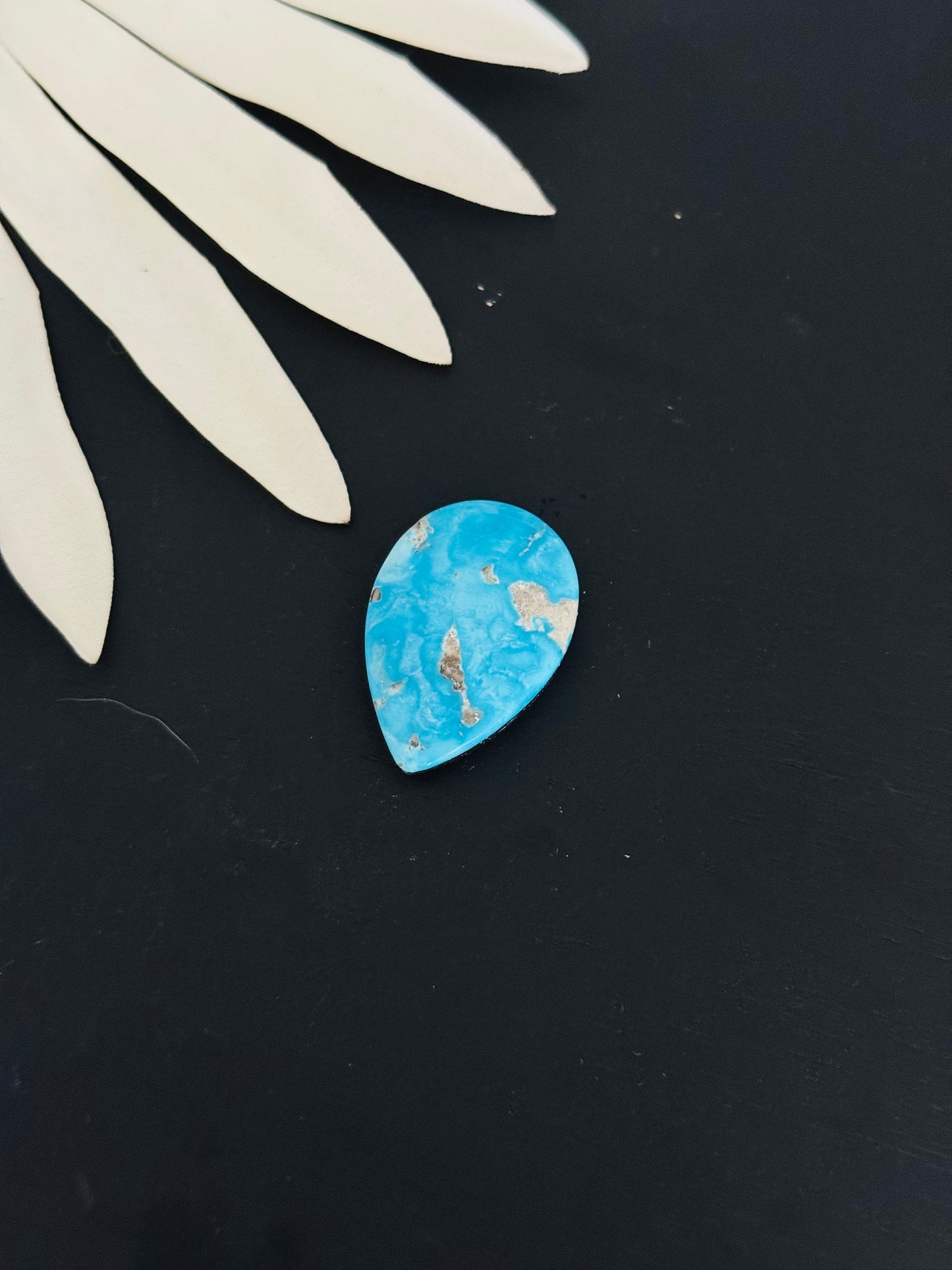 Blue Bird Turquoise Cabs