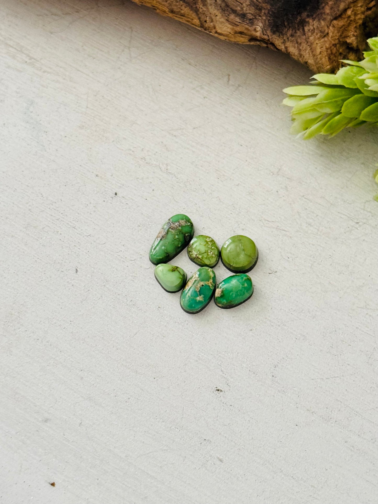 Natural Sonoran Gold Turquoise Cabs