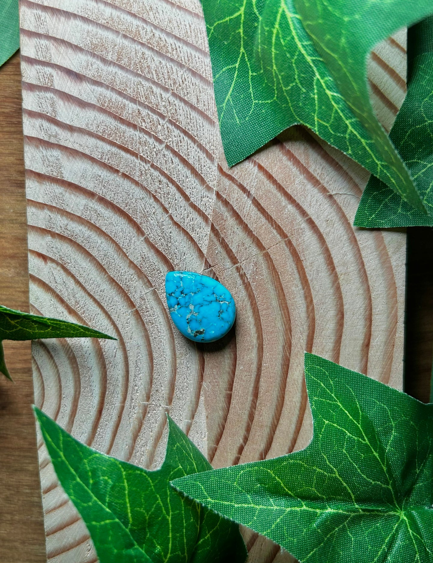 Blue Bird Turquoise Cabs