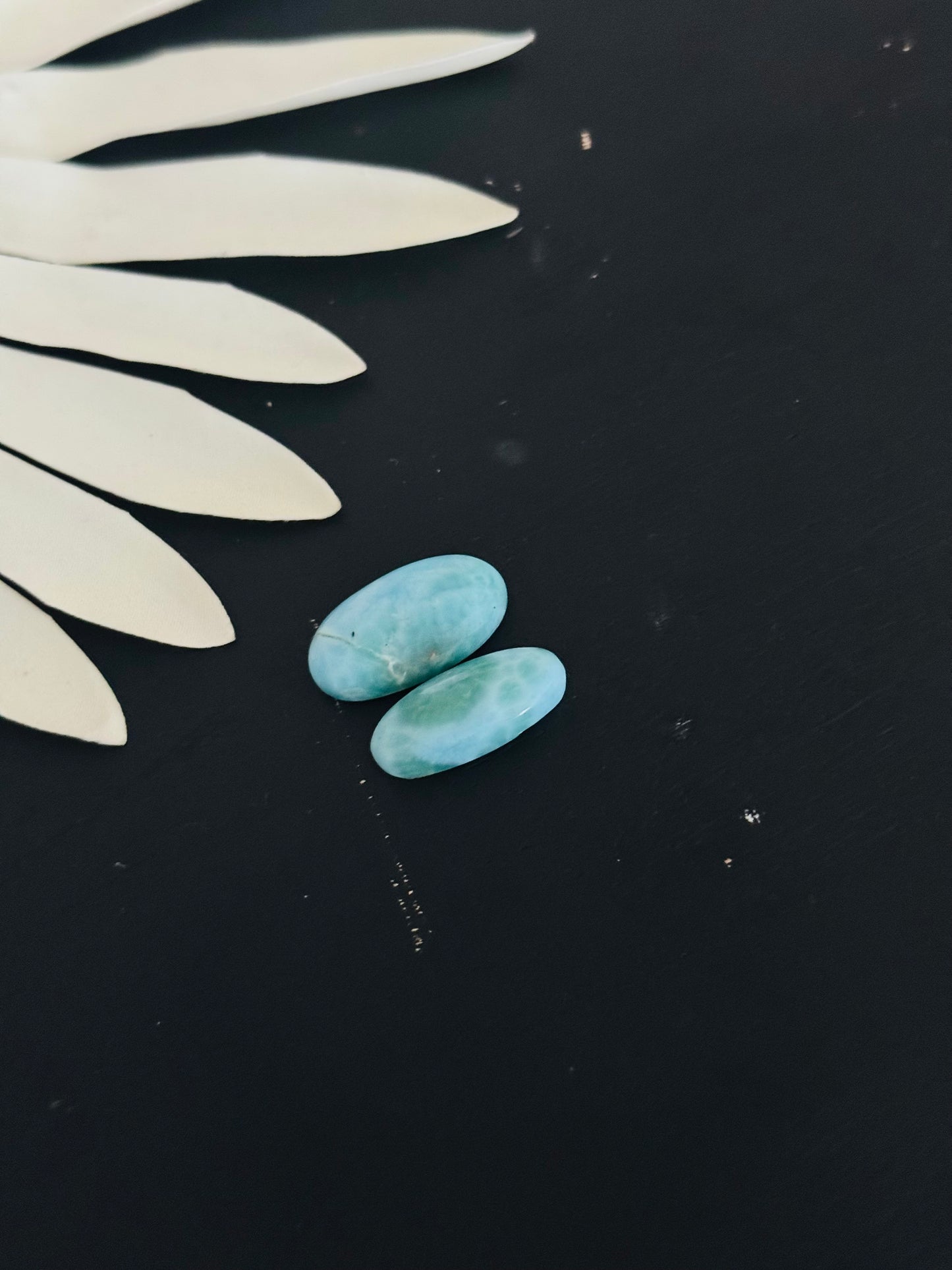 Larimar Cabs