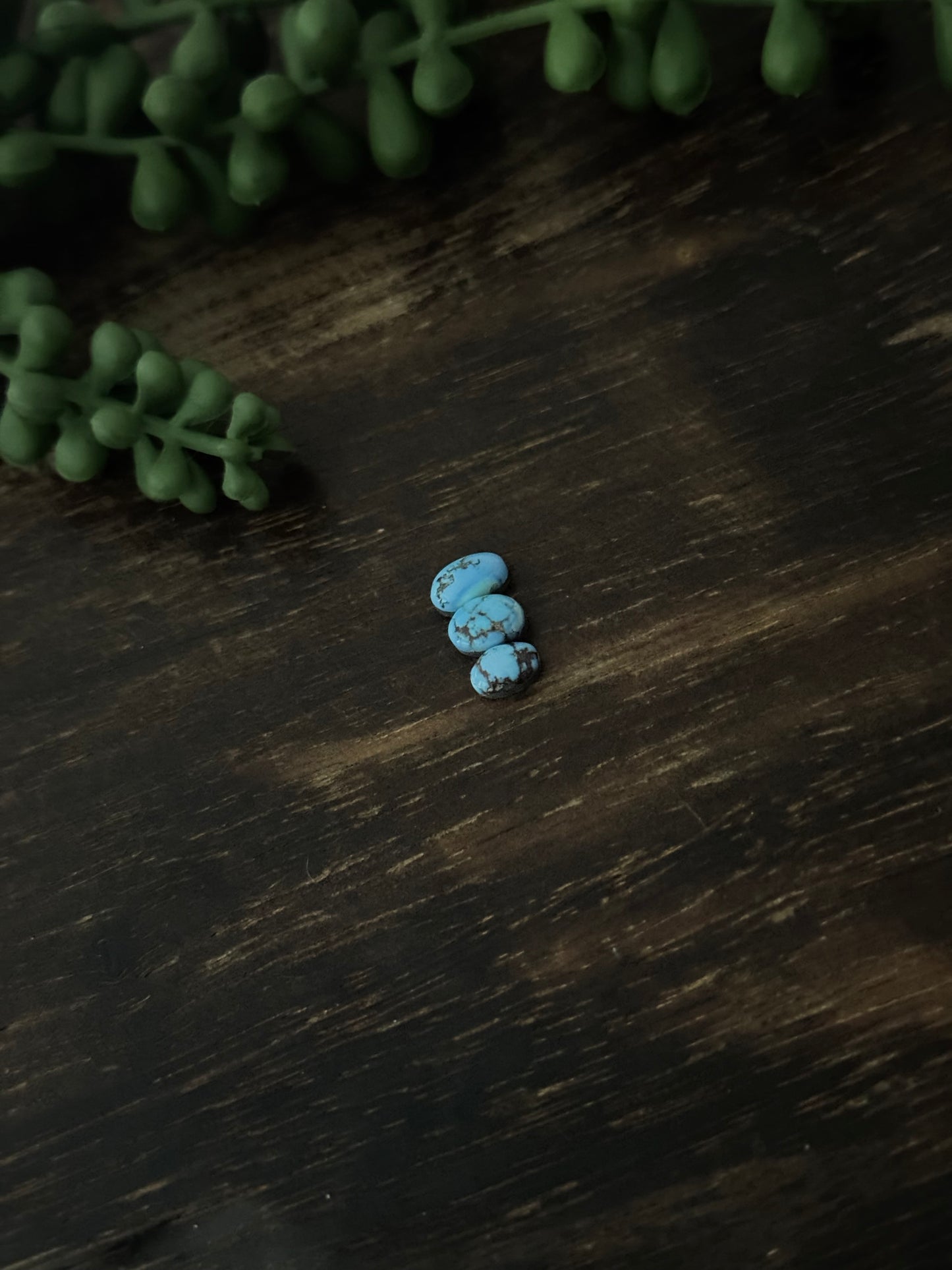 Golden Hills Turquoise Cabs