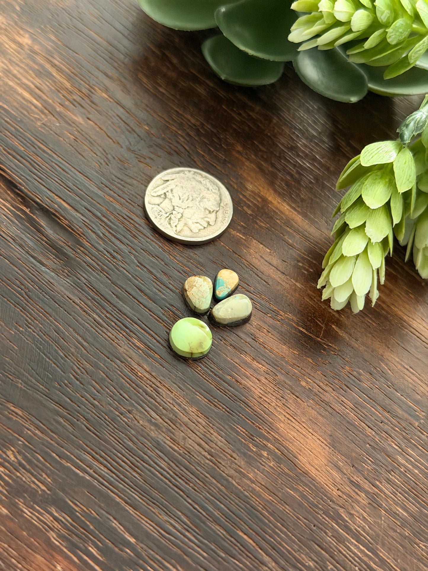 Evans Turquoise Cabs