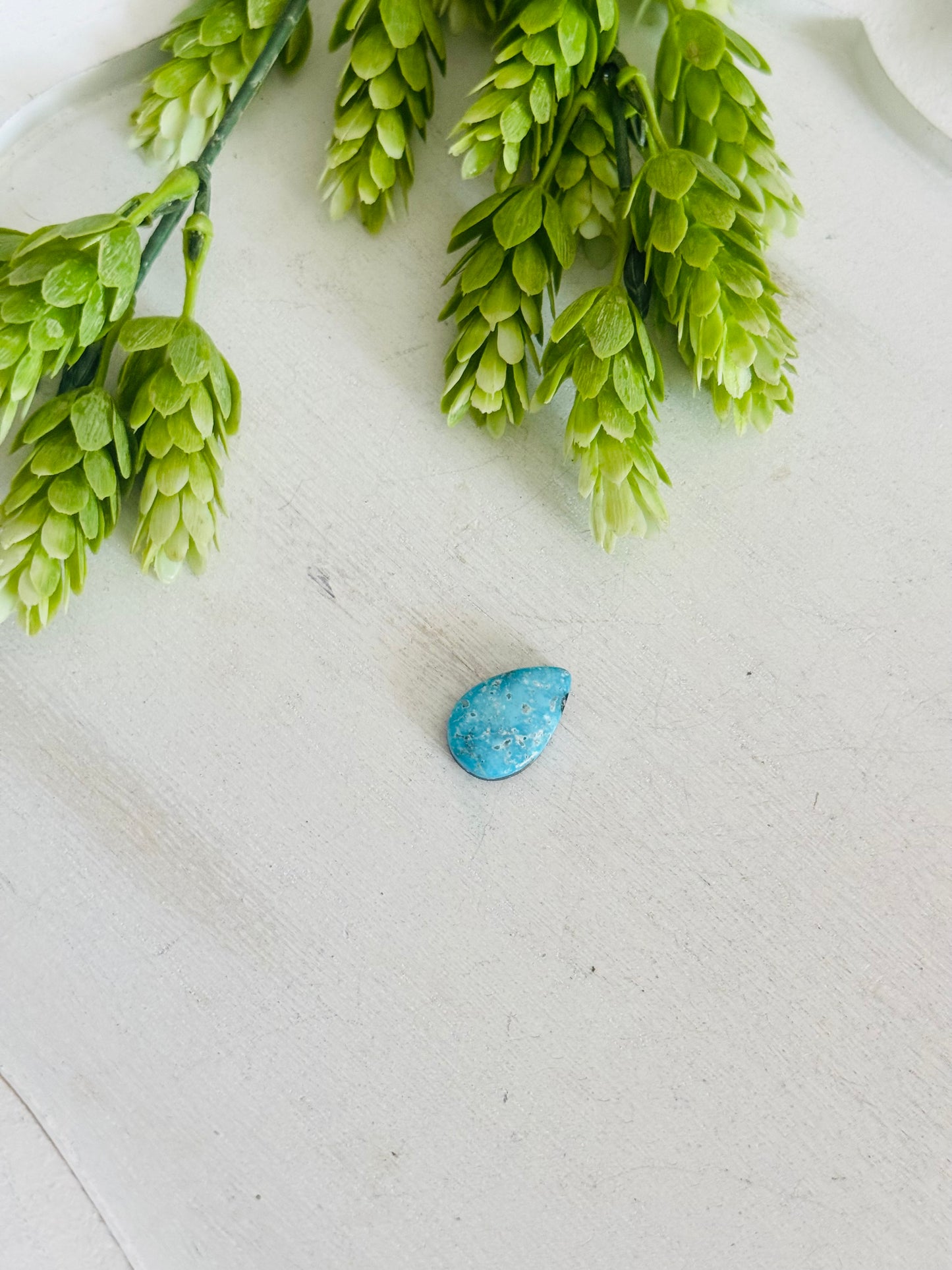 Blue Bird Turquoise Cab