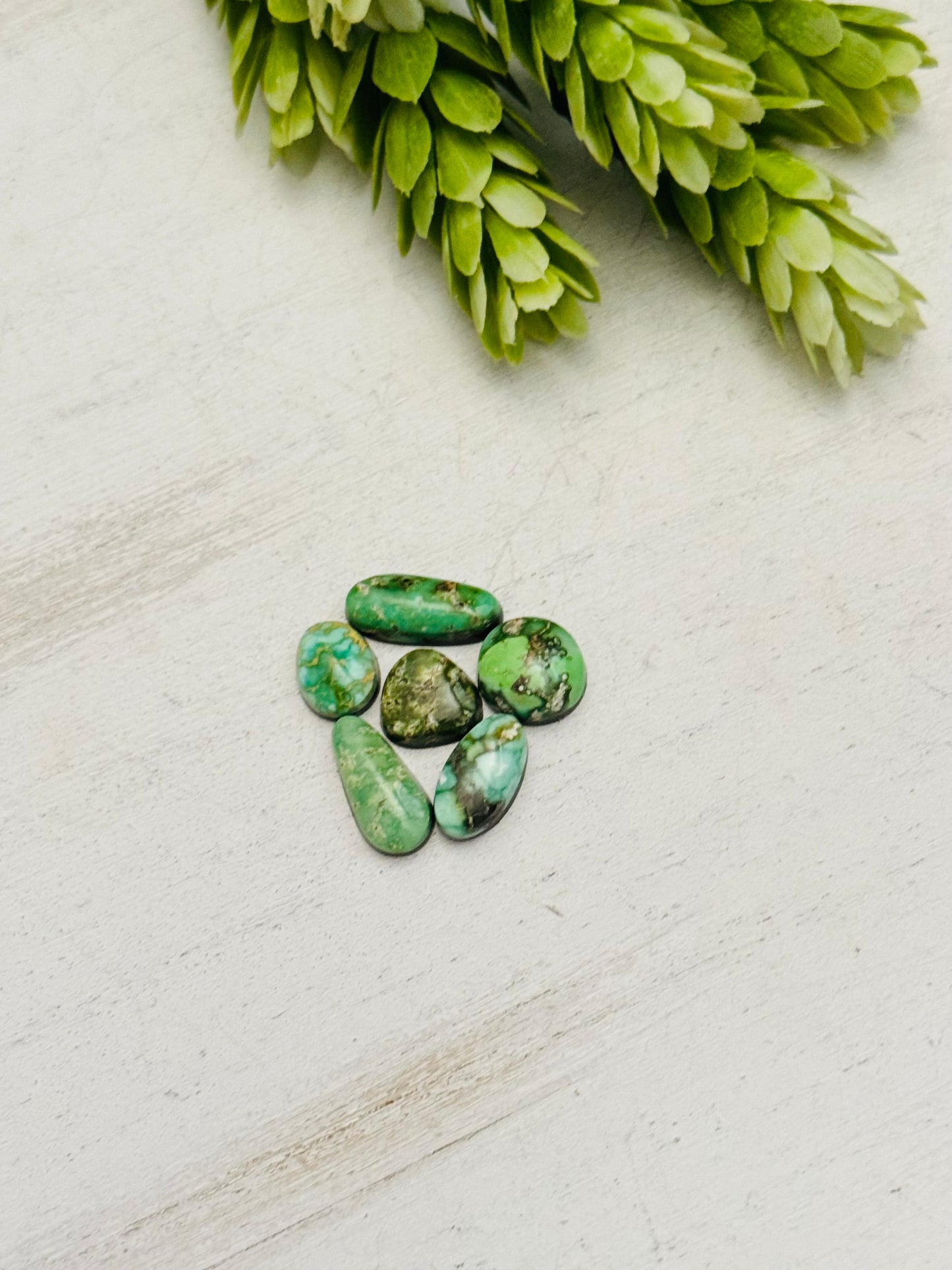 Natural Sonoran Gold Turquoise Cabs