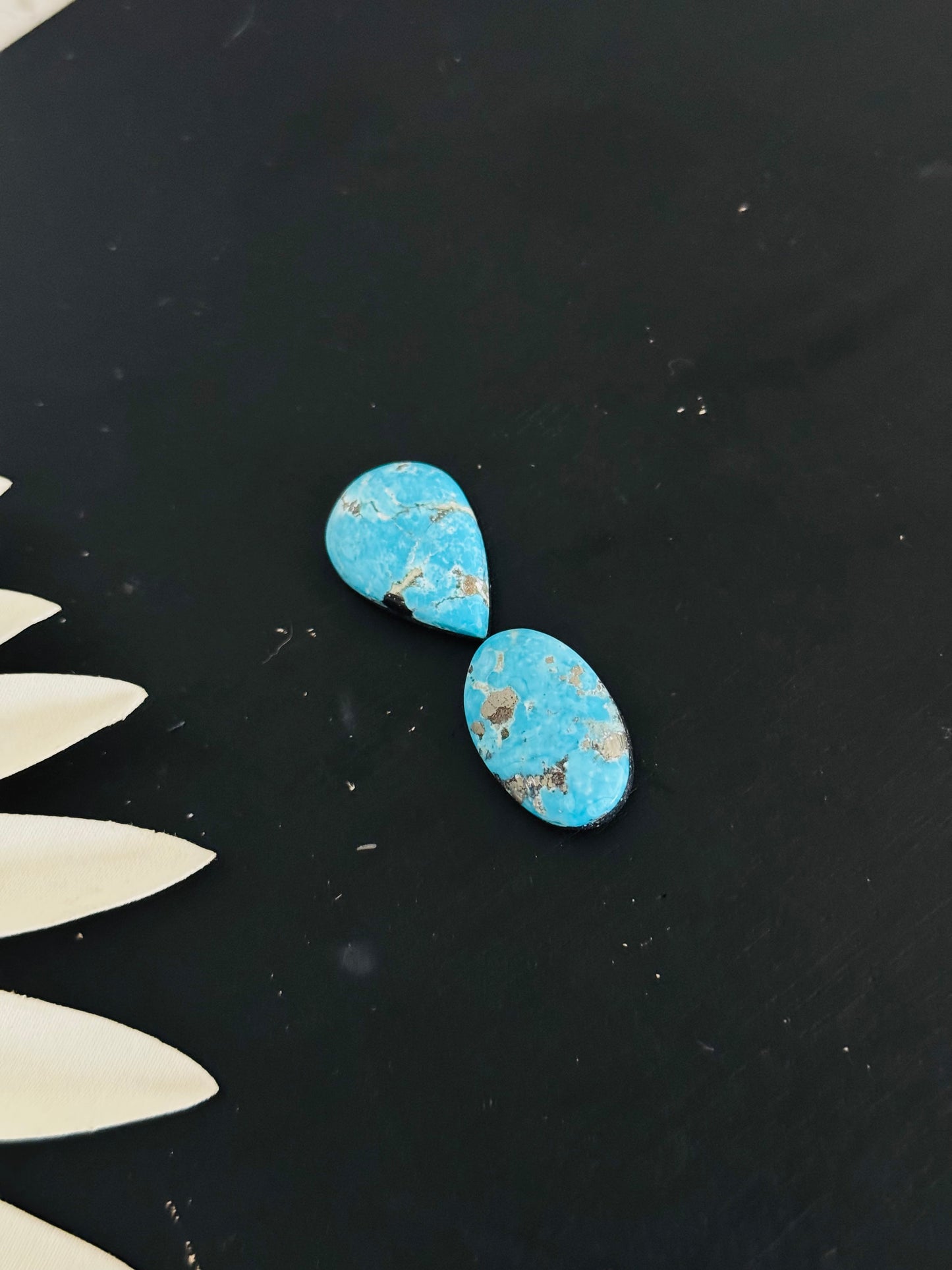 Blue Bird Turquoise Cabs