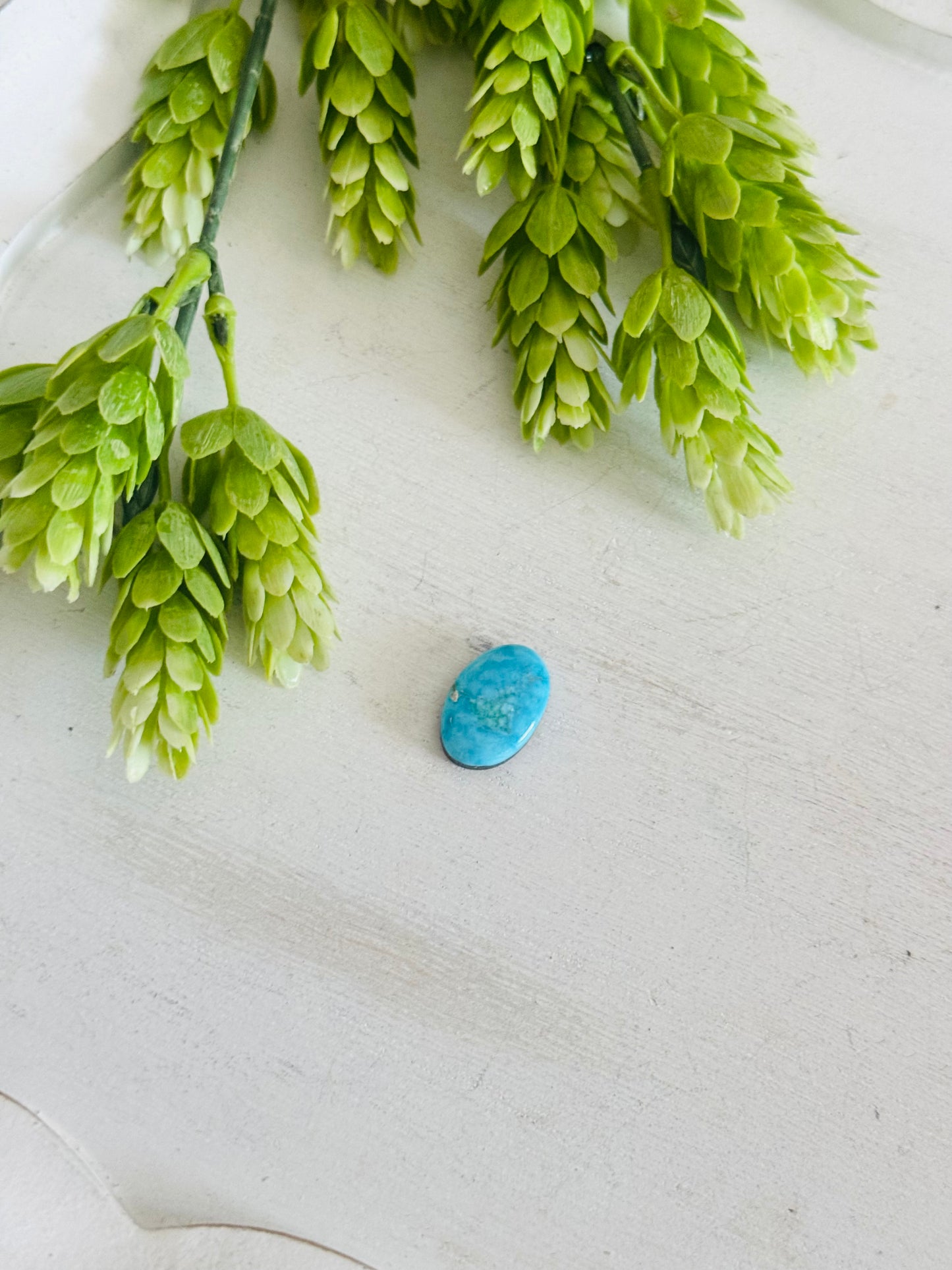 Blue Bird Turquoise Cab