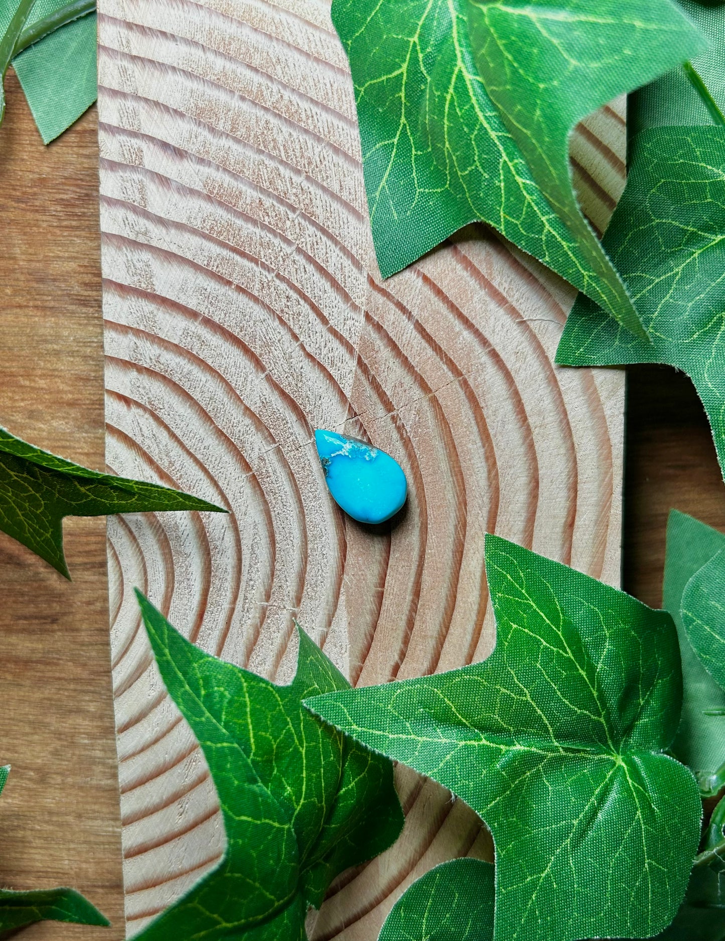 Blue Bird Turquoise Cabs