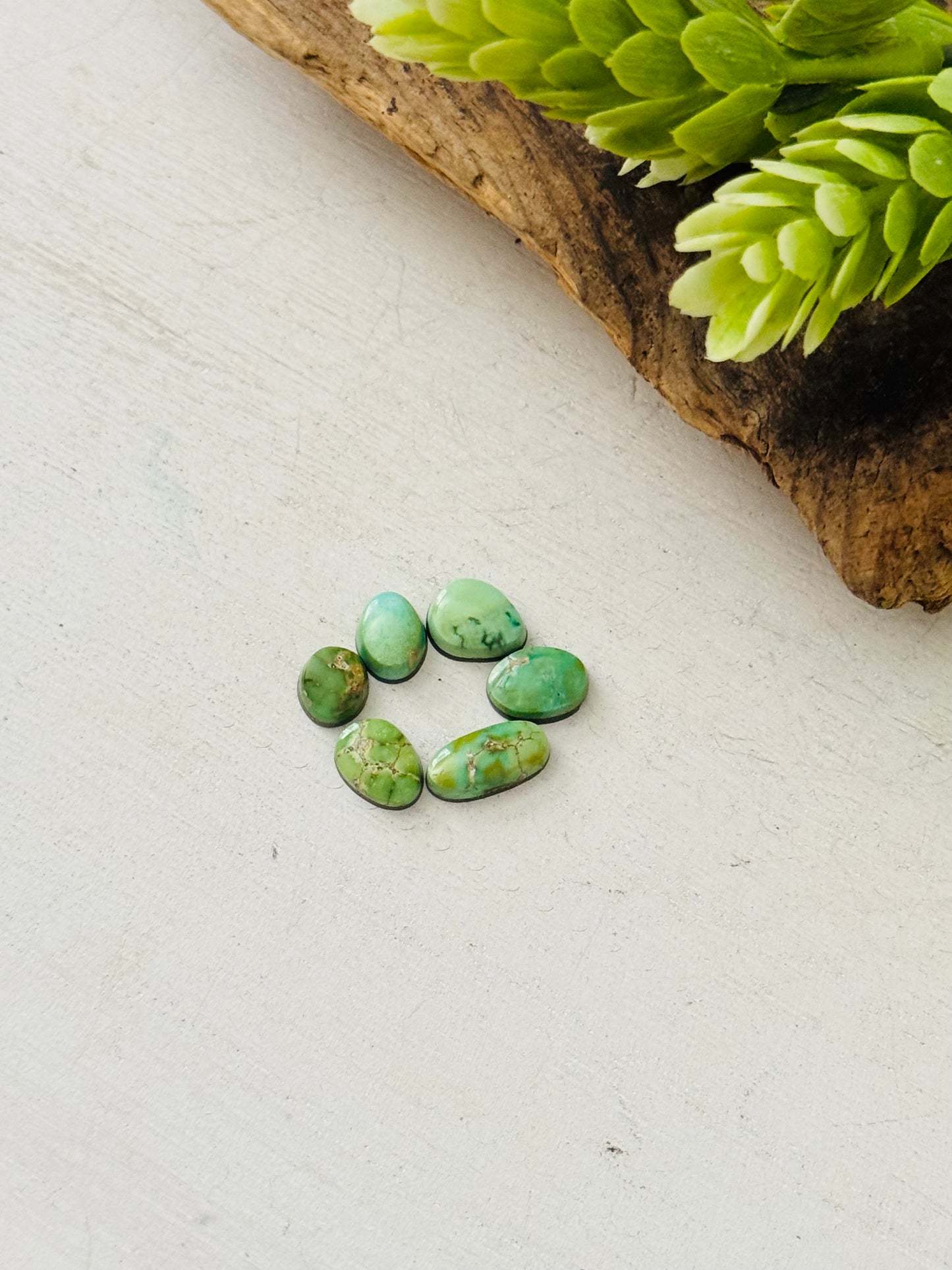Natural Sonoran Gold Turquoise Cabs