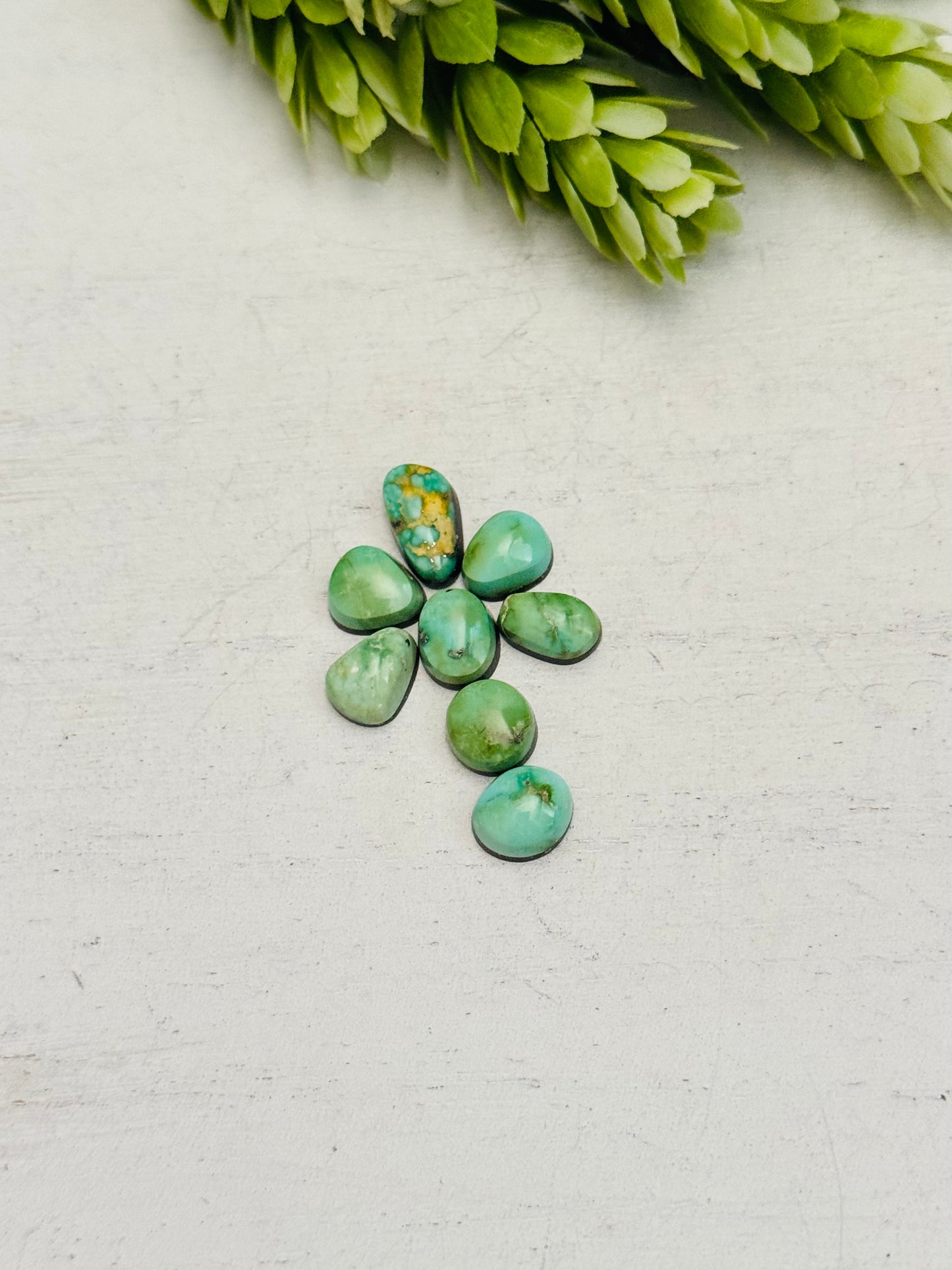 Natural Sonoran Gold Turquoise Cabs