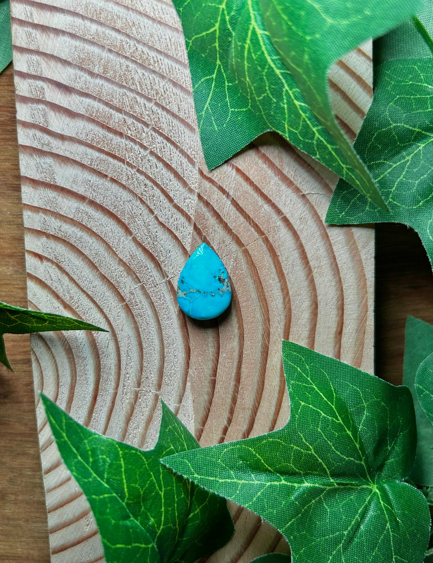 Blue Bird Turquoise Cabs