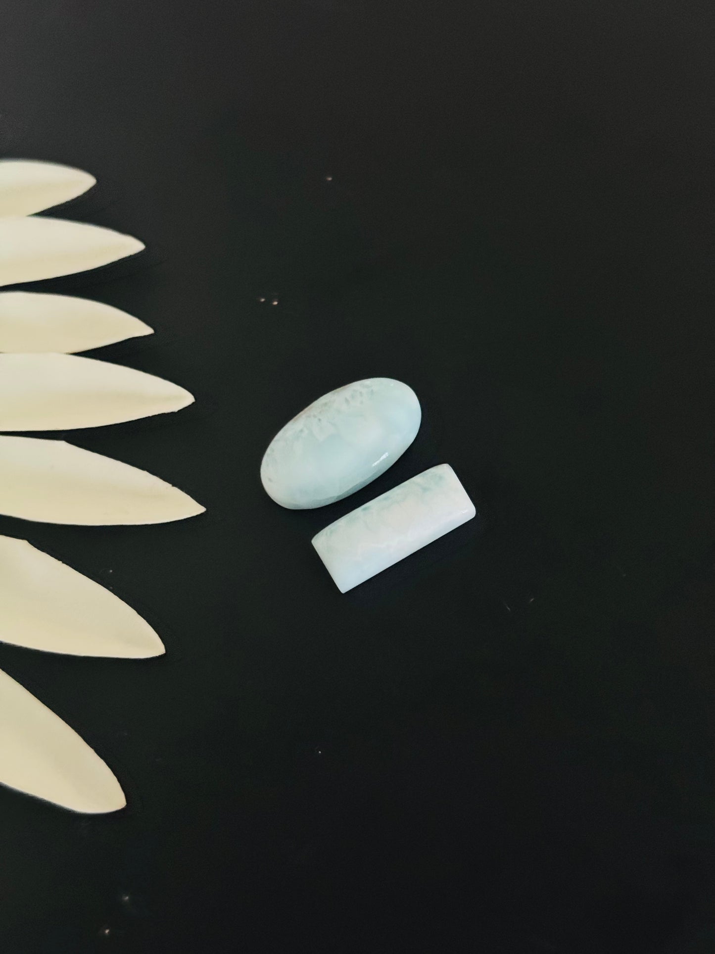 Larimar Cabs