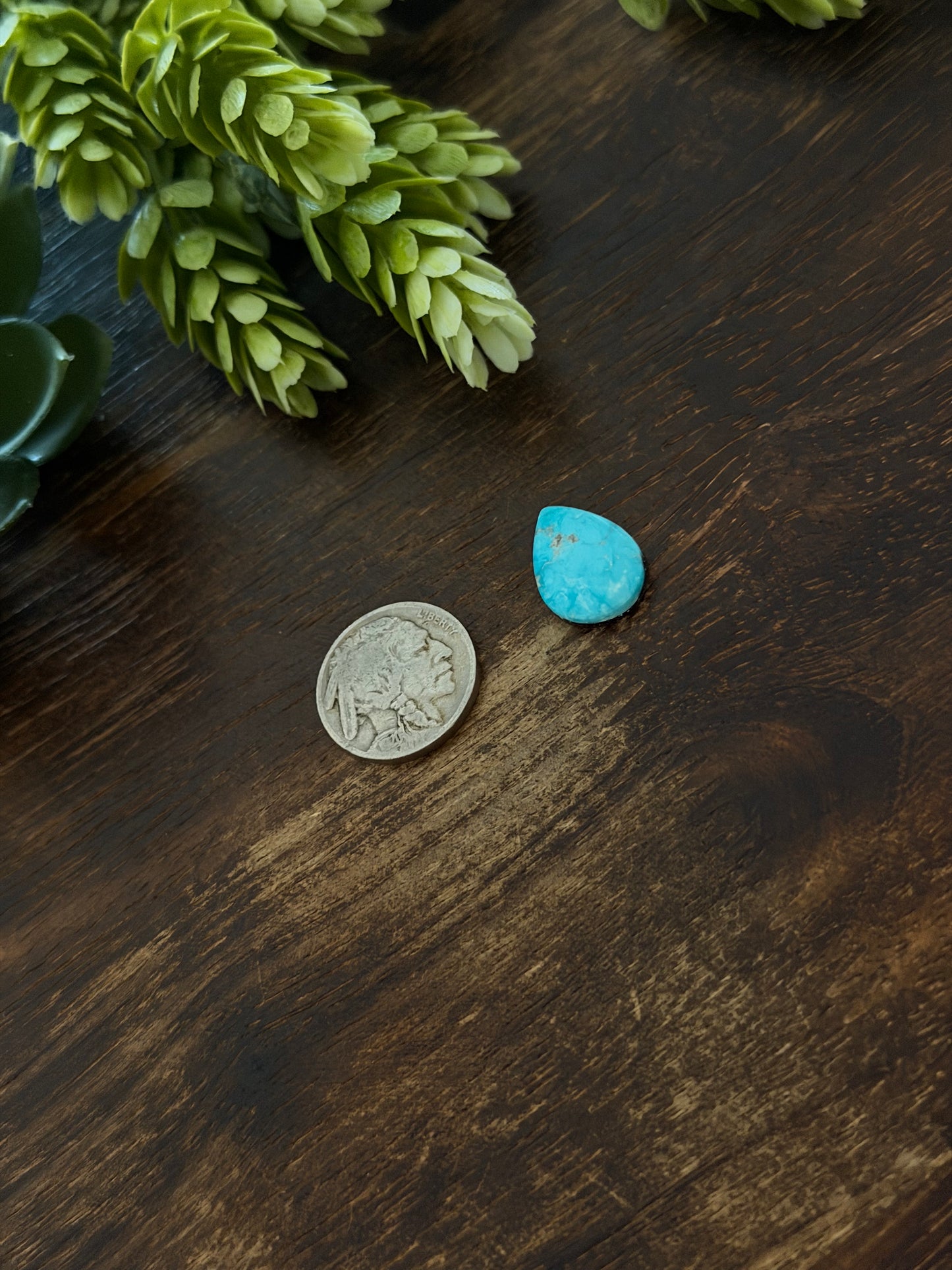 Blue Bird Turquoise Cab