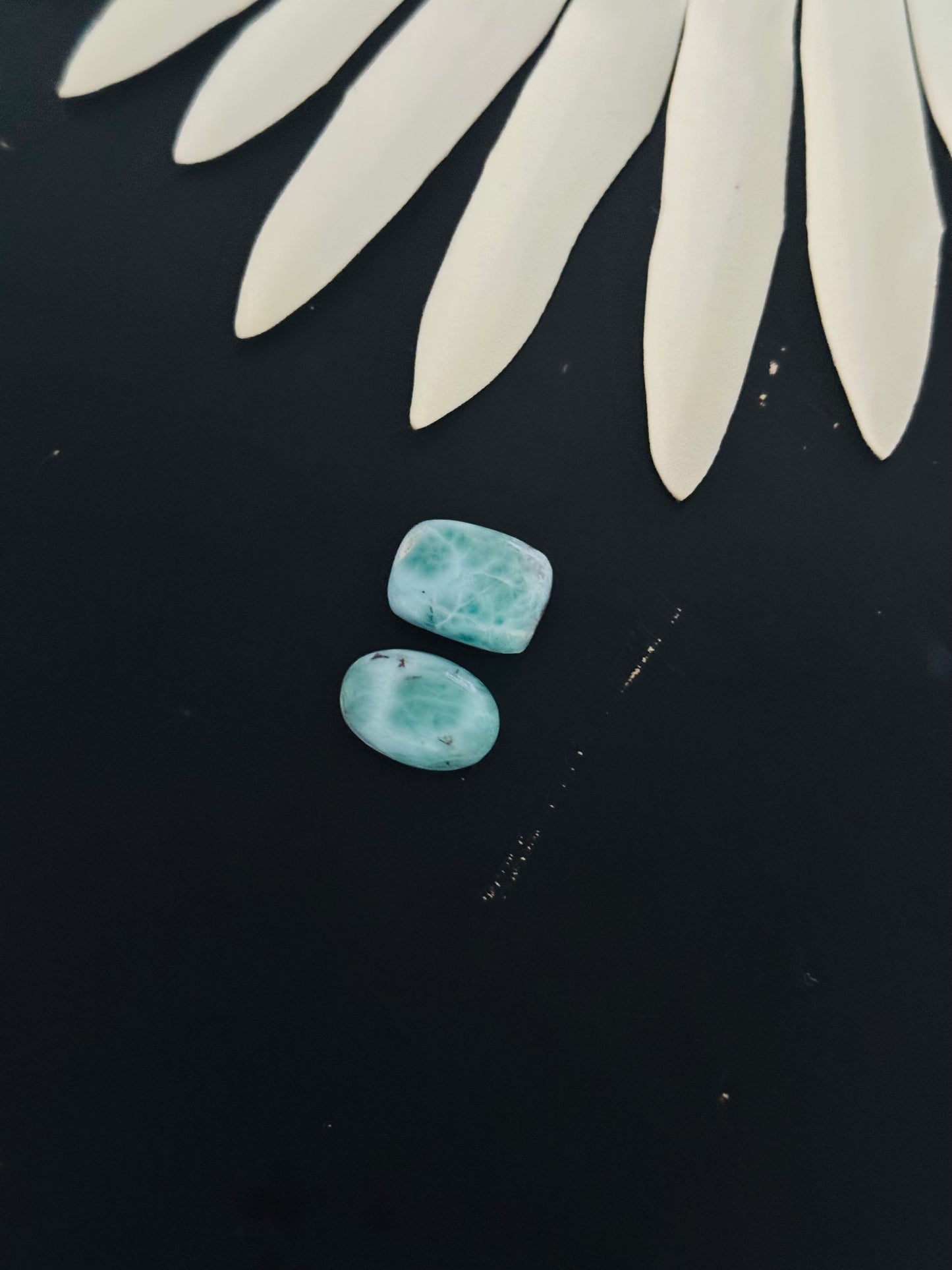 Larimar Cabs