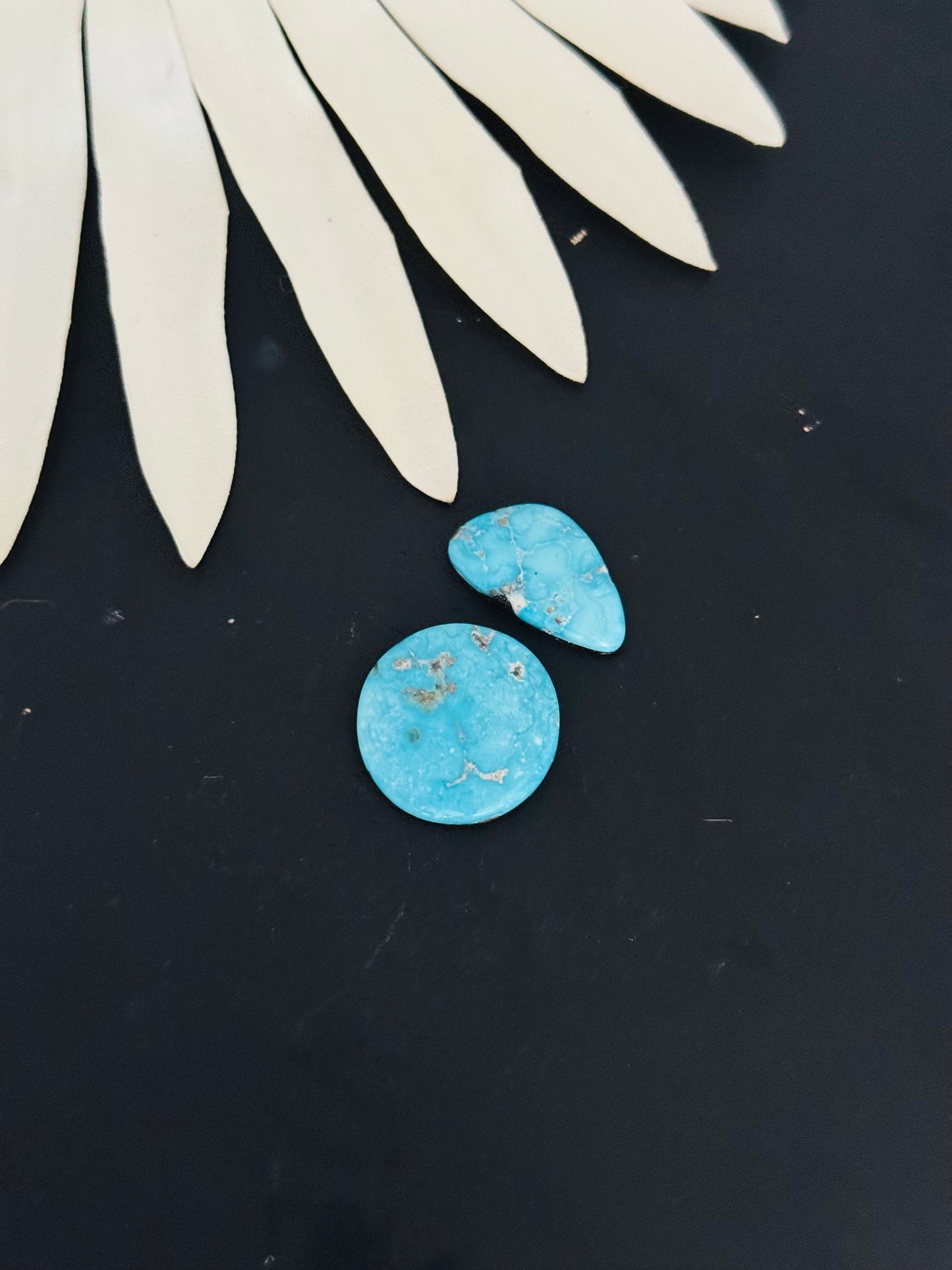 Blue Bird Turquoise Cabs