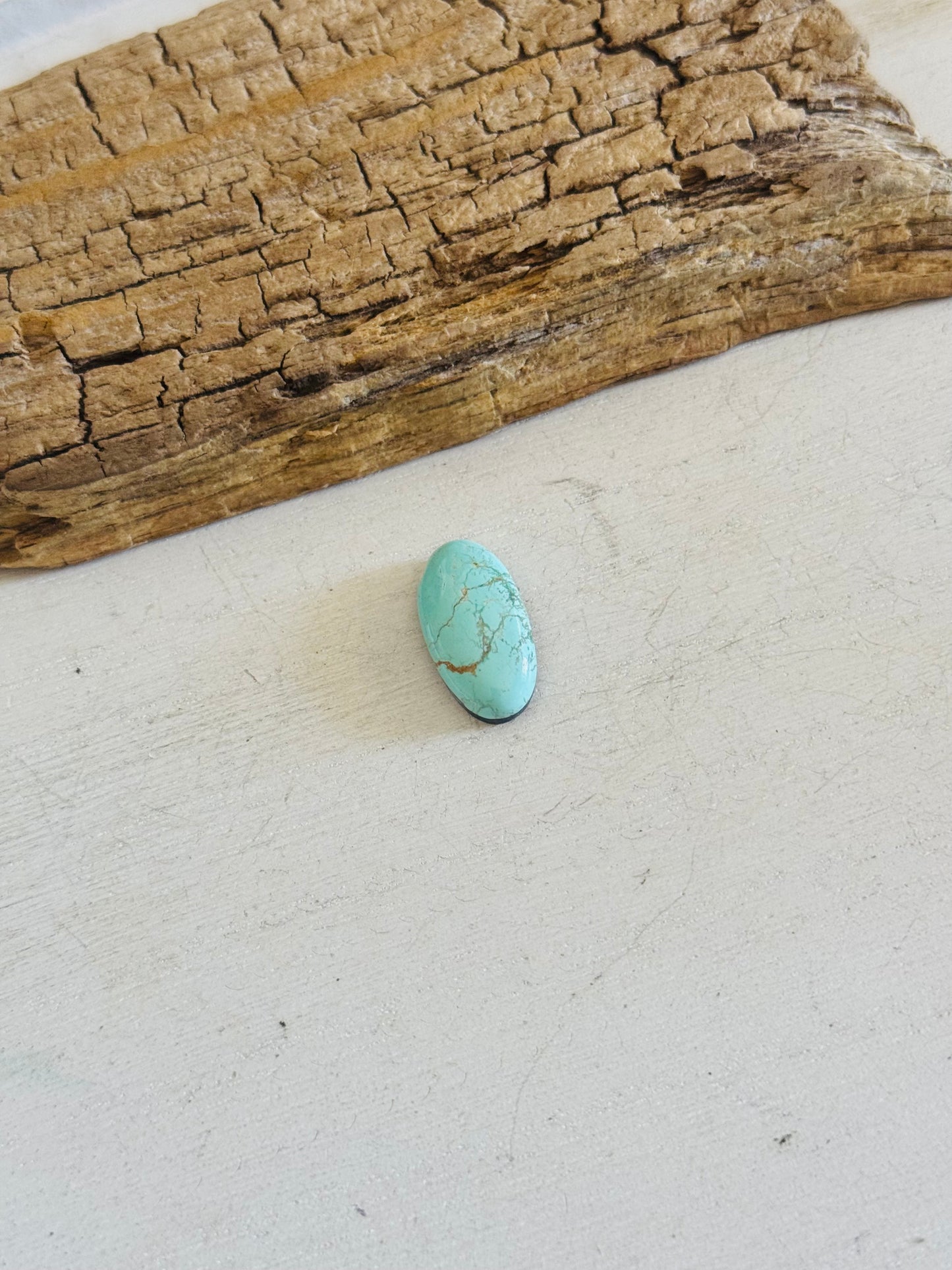 Evans Turquoise Cab