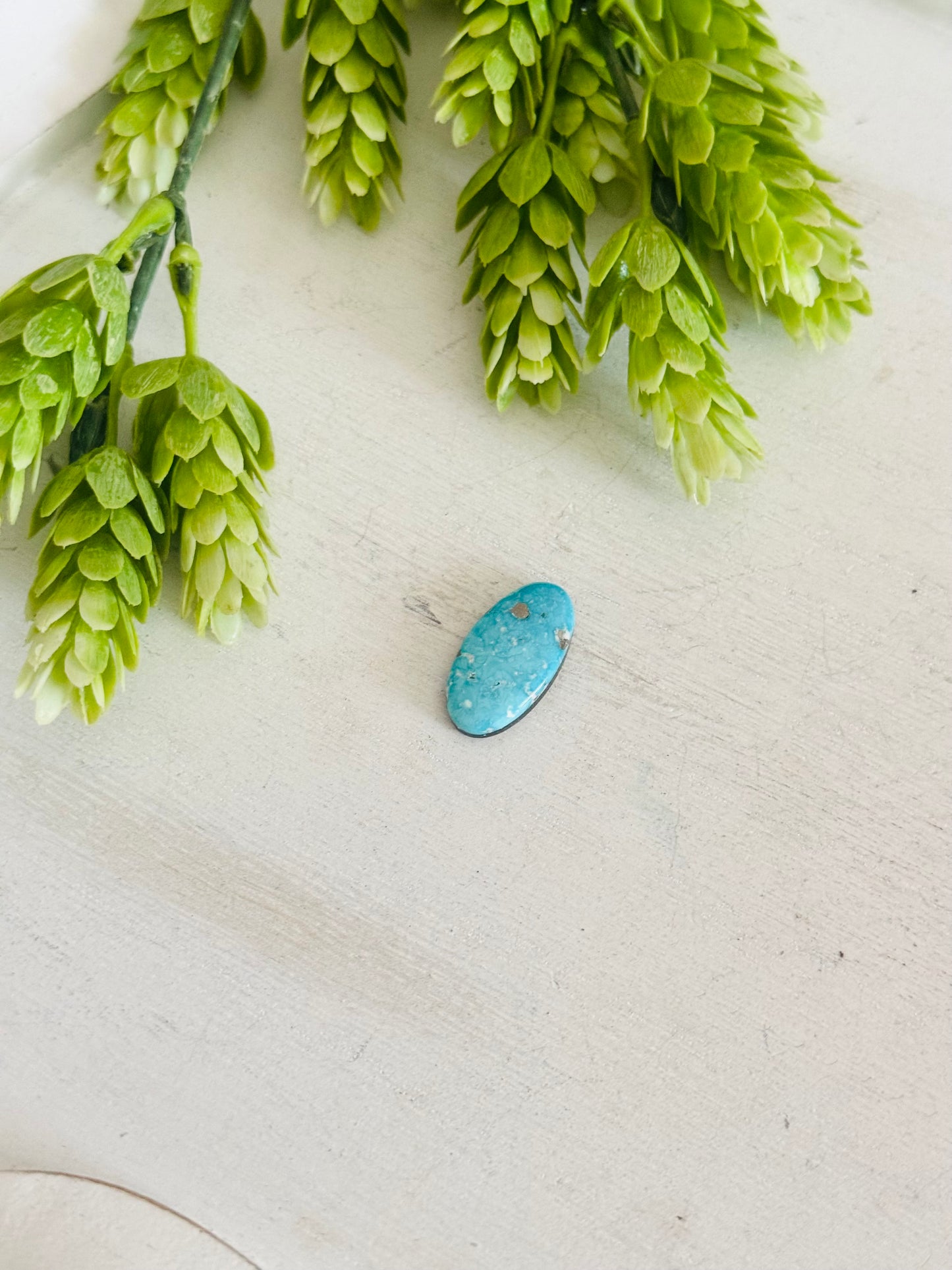 Blue Bird Turquoise Cab