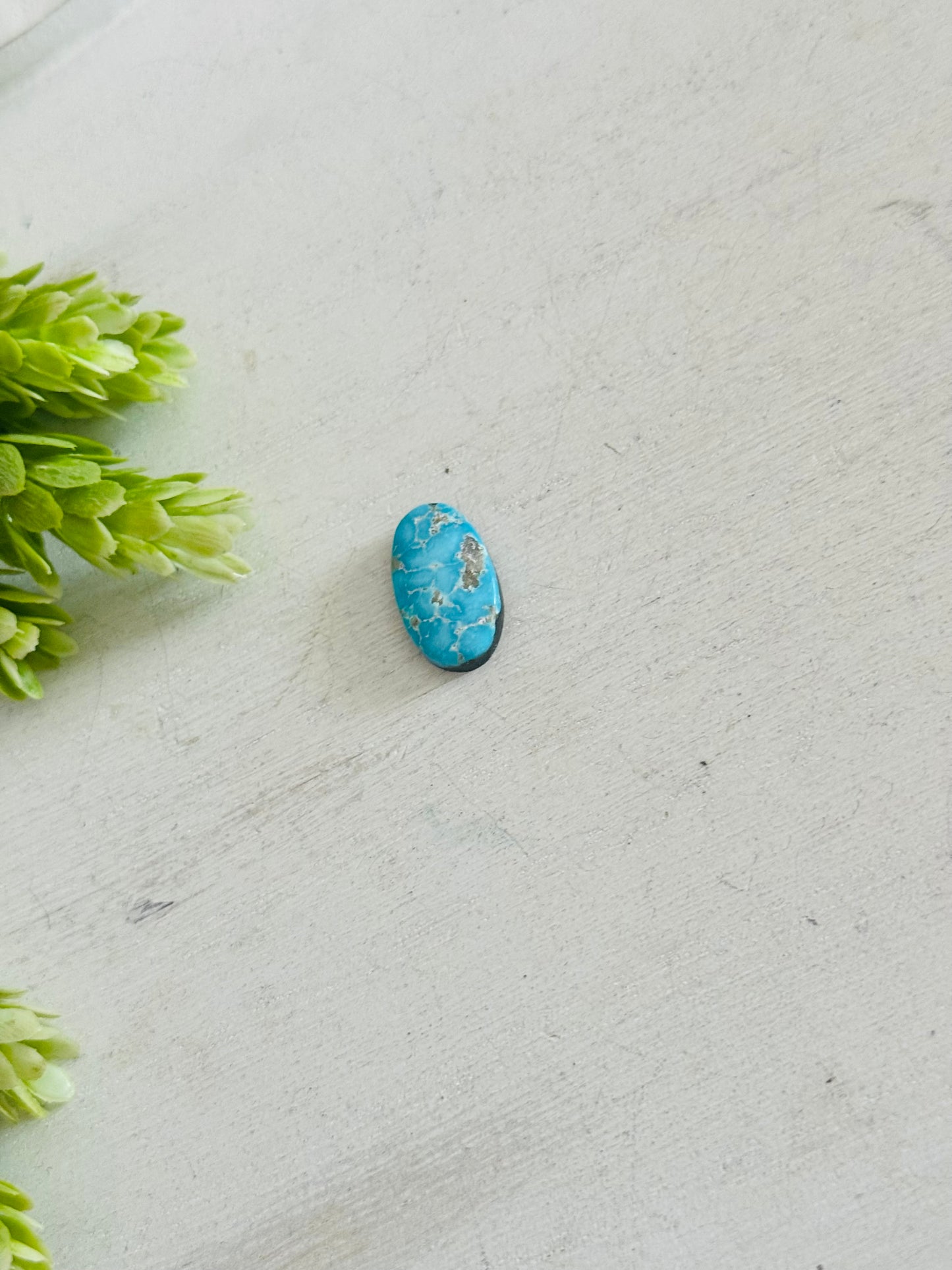 Blue Bird Turquoise Cab