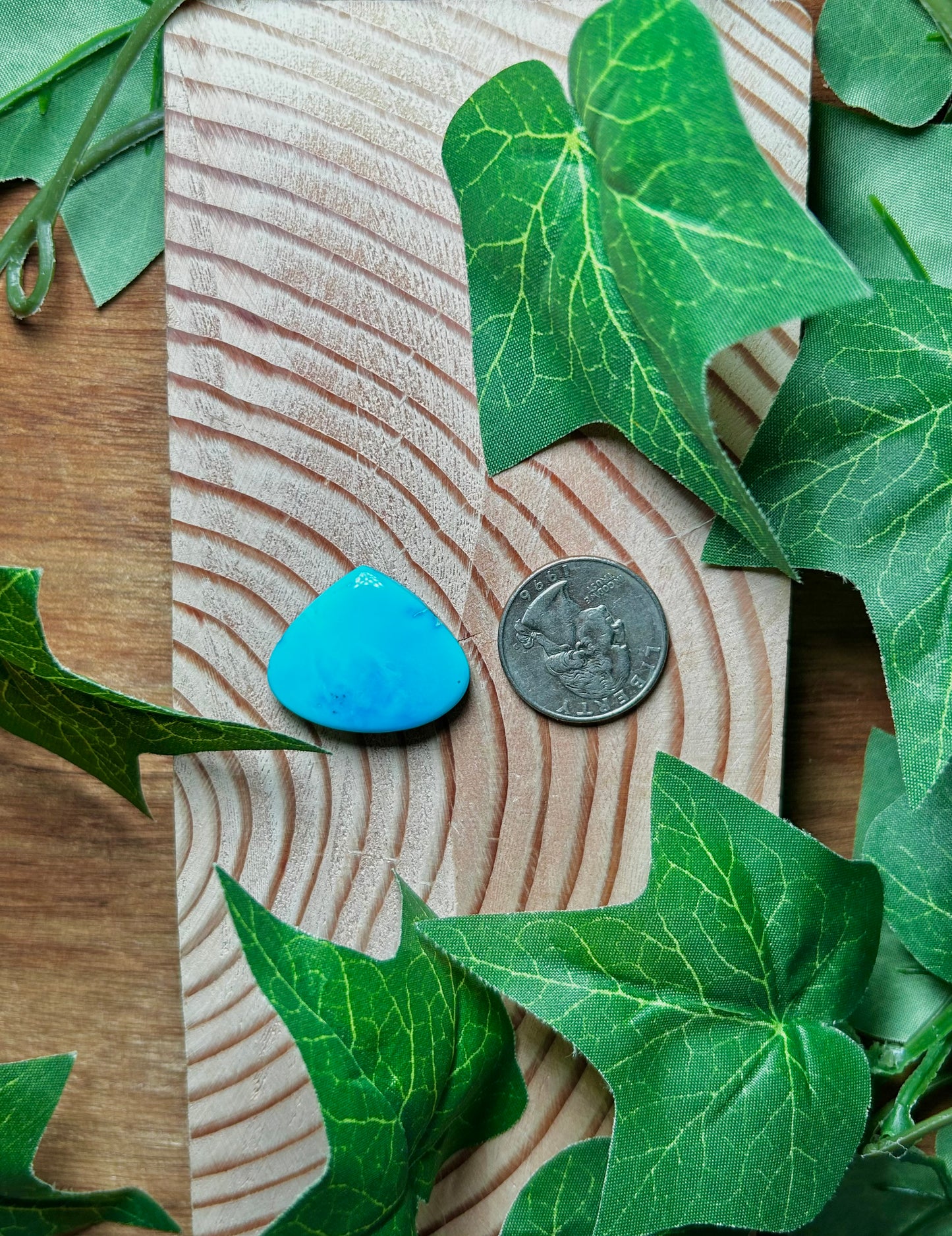 Blue Bird Turquoise Cabs